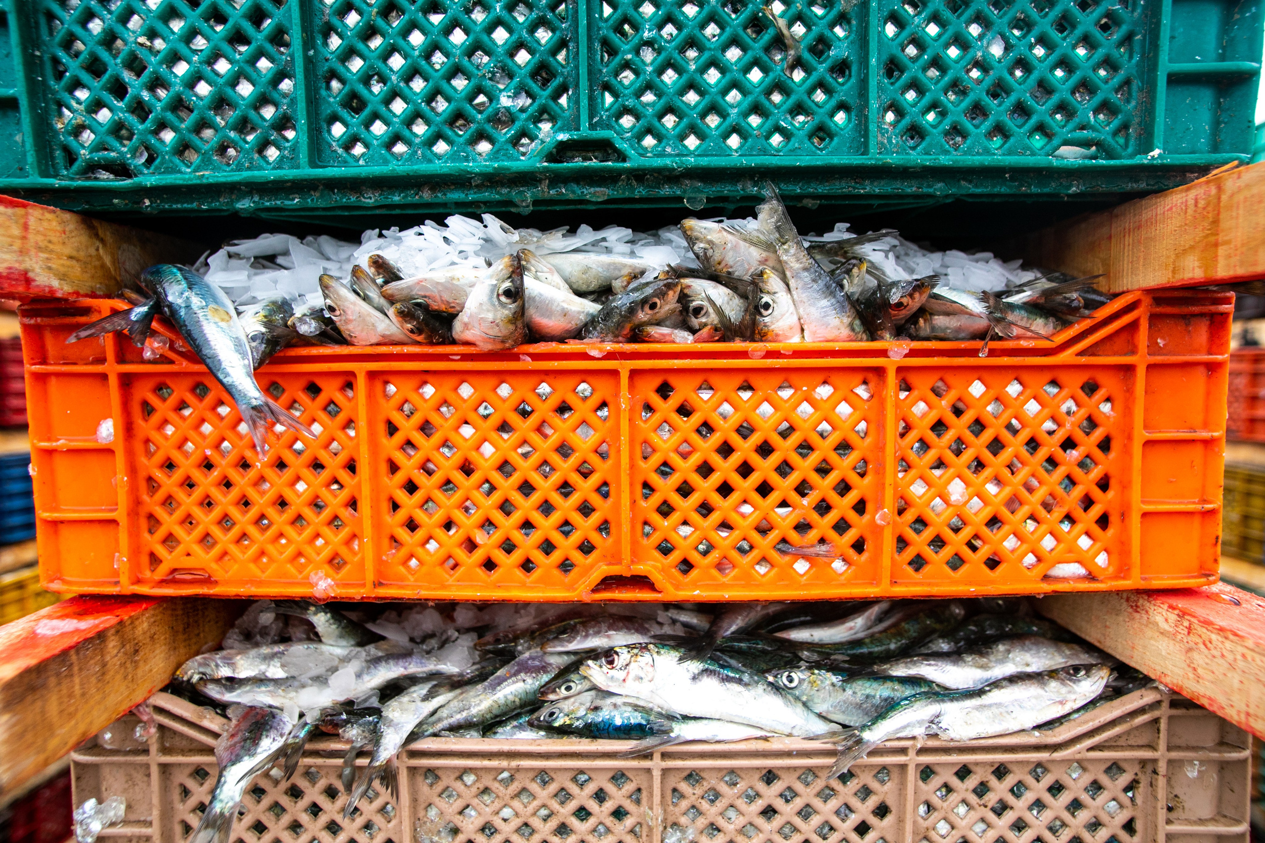 Марокко. Тревел-фотограф Олег Гуров