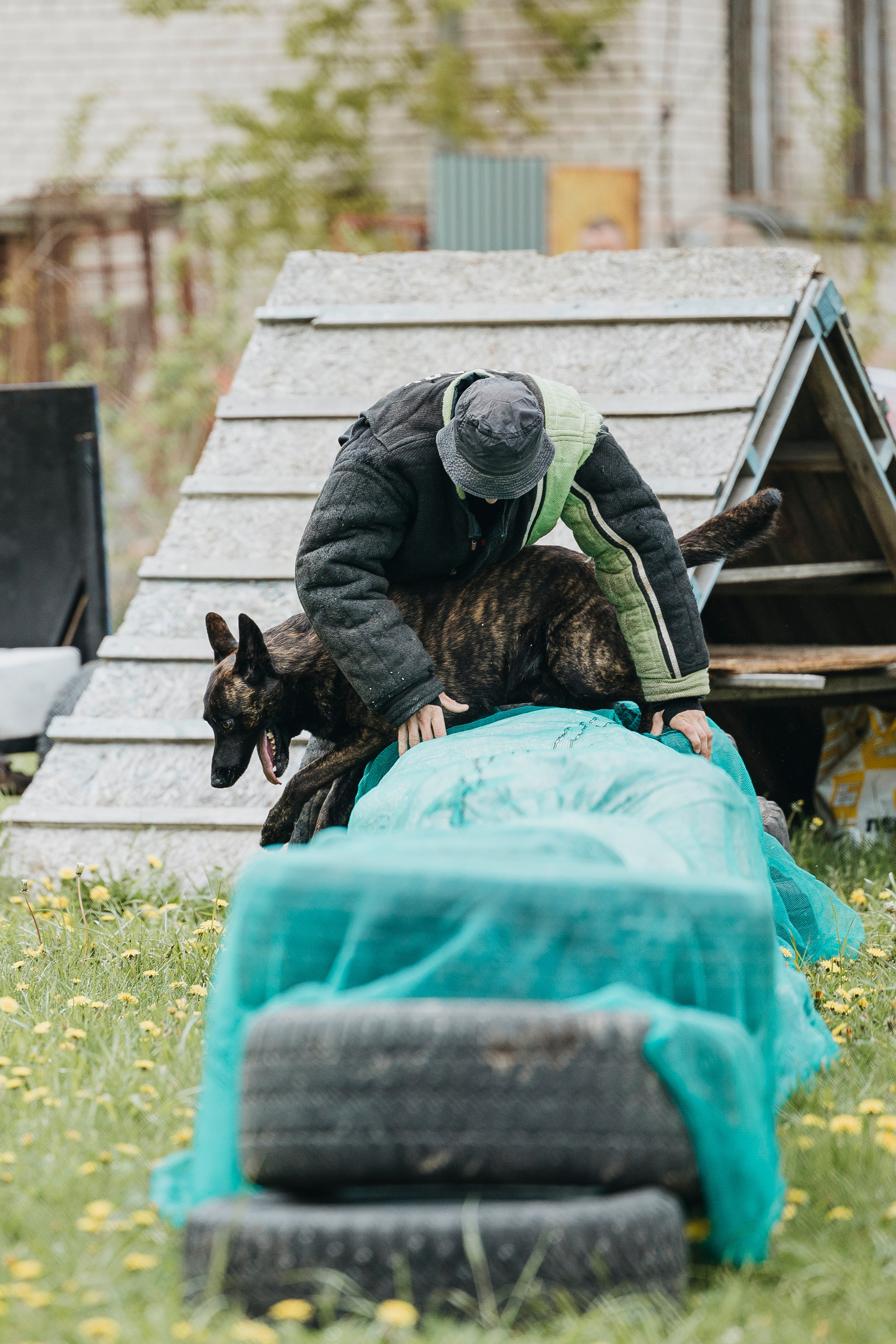 26.05.25 г. Пушкин квалификационные соревнования. Фотограф-анималист Анна Маринич