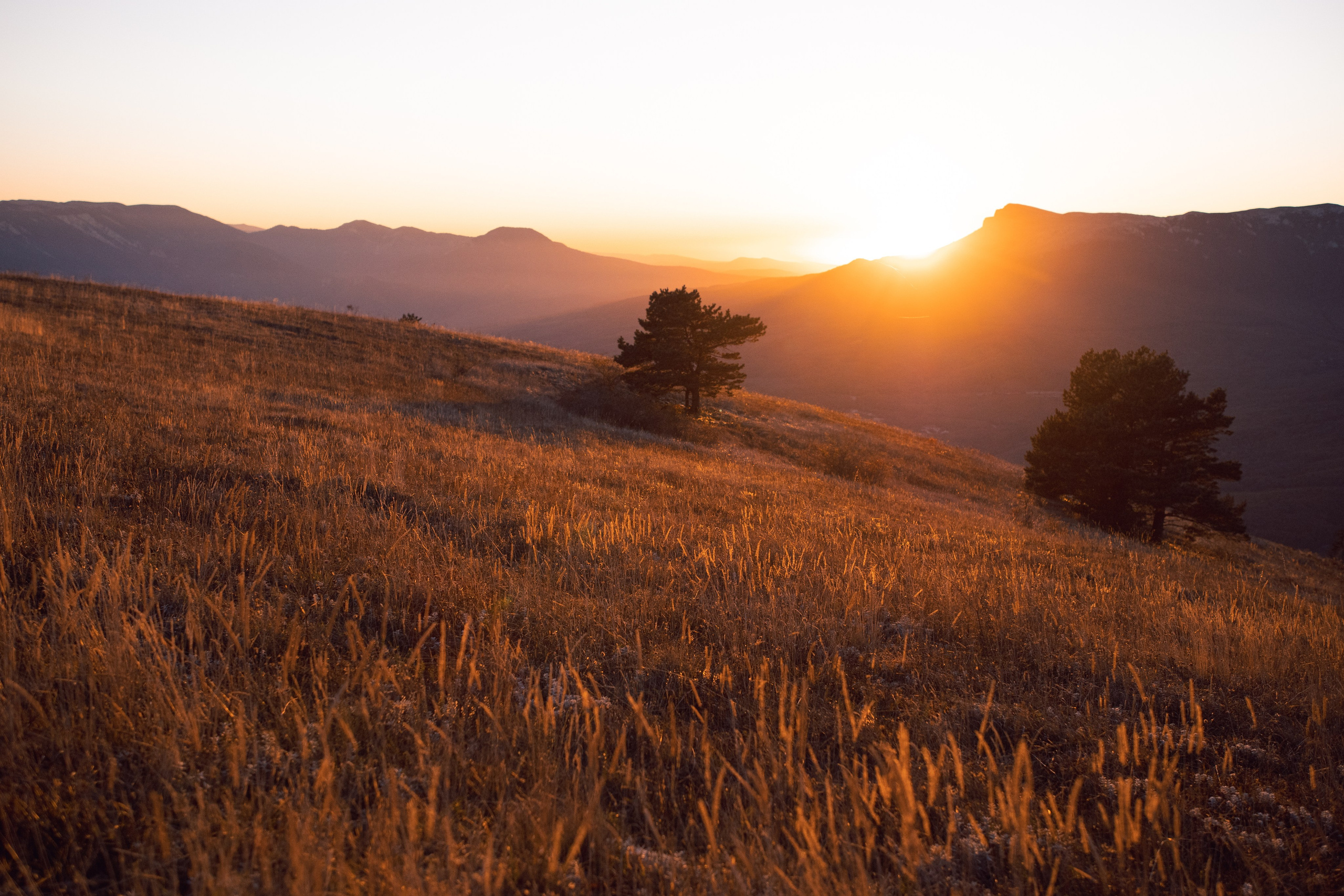 Nature. Артем Корнев Фотограф
