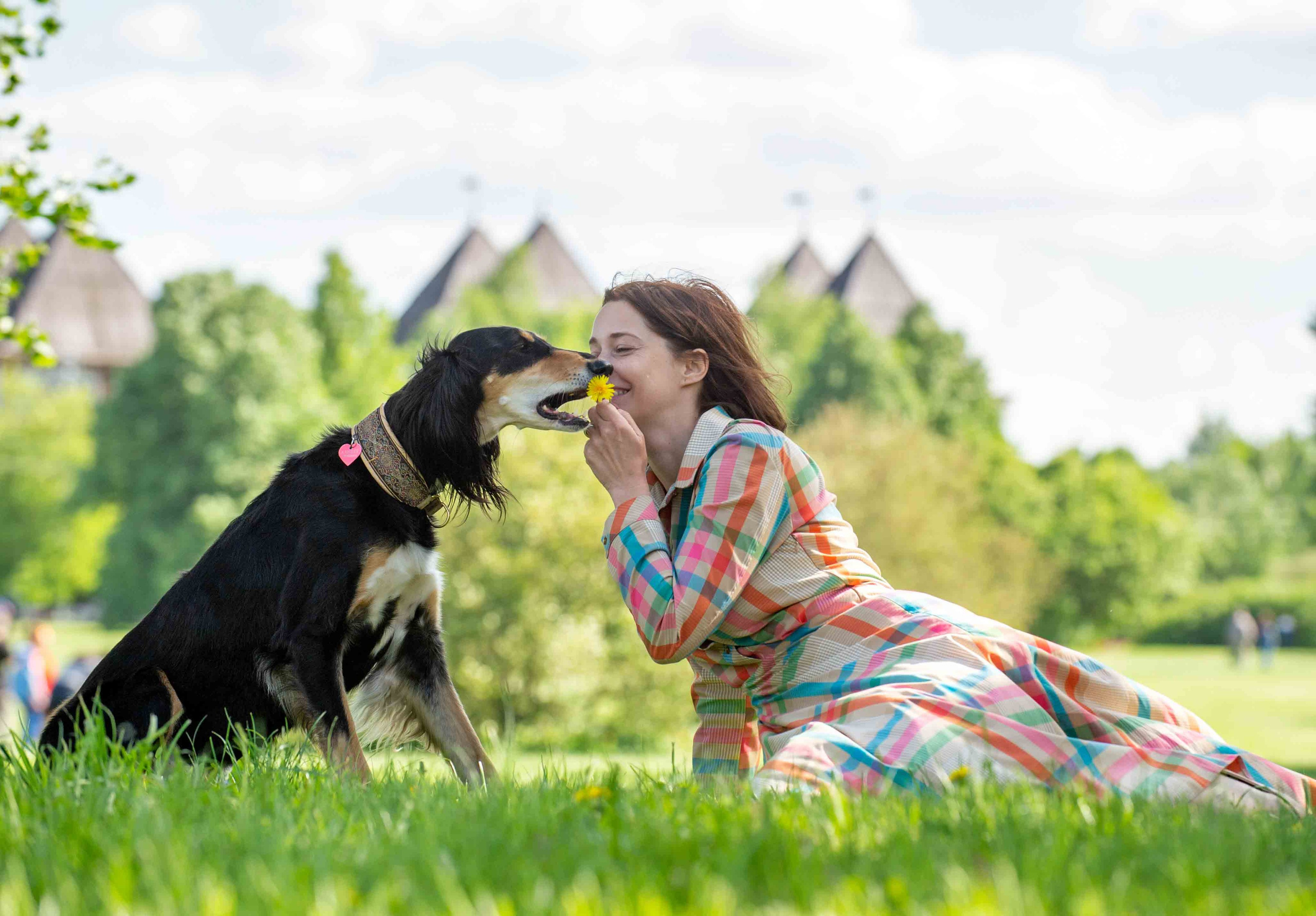 Фото с домашними питомцами. Портретная и свадебная фотосъемка. Москва и область