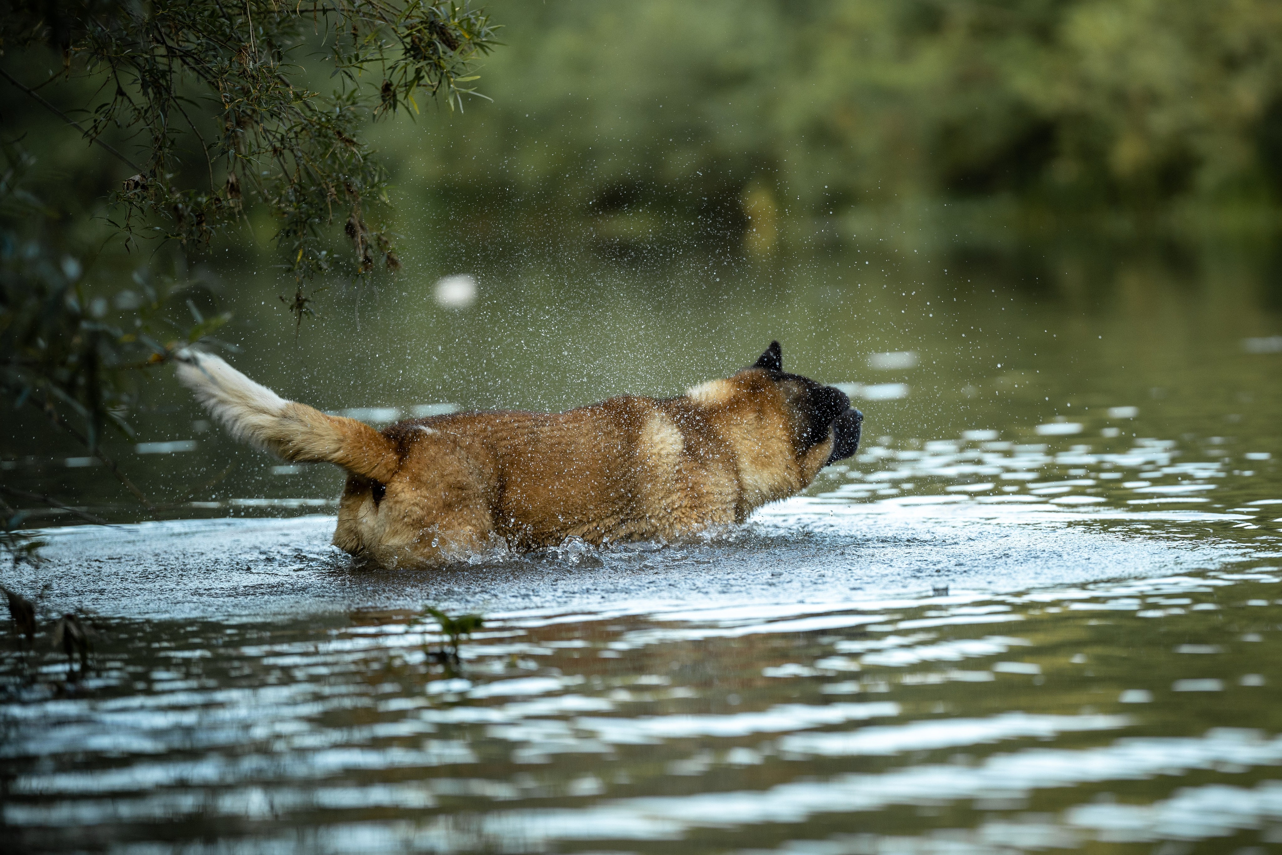 Природные пейзажи. Наталия Клевинскас портретный фотограф в Костроме