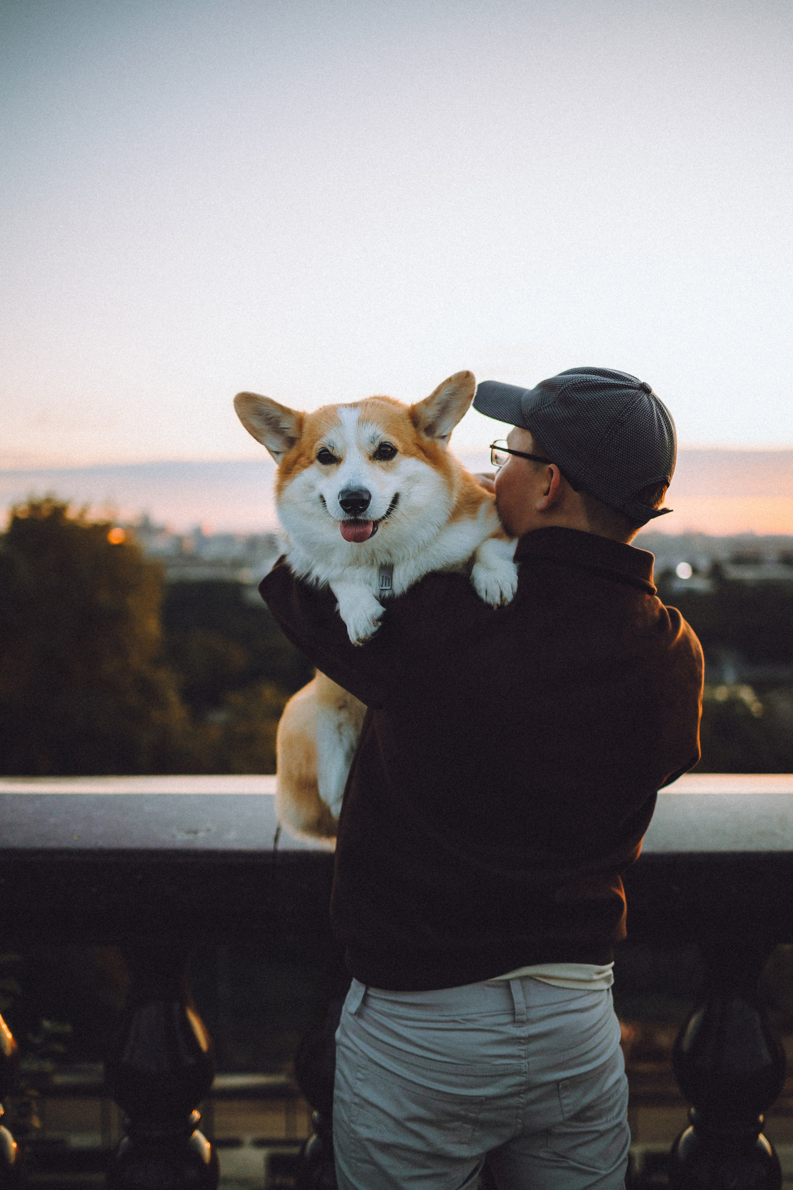 Пуговка и ее семья