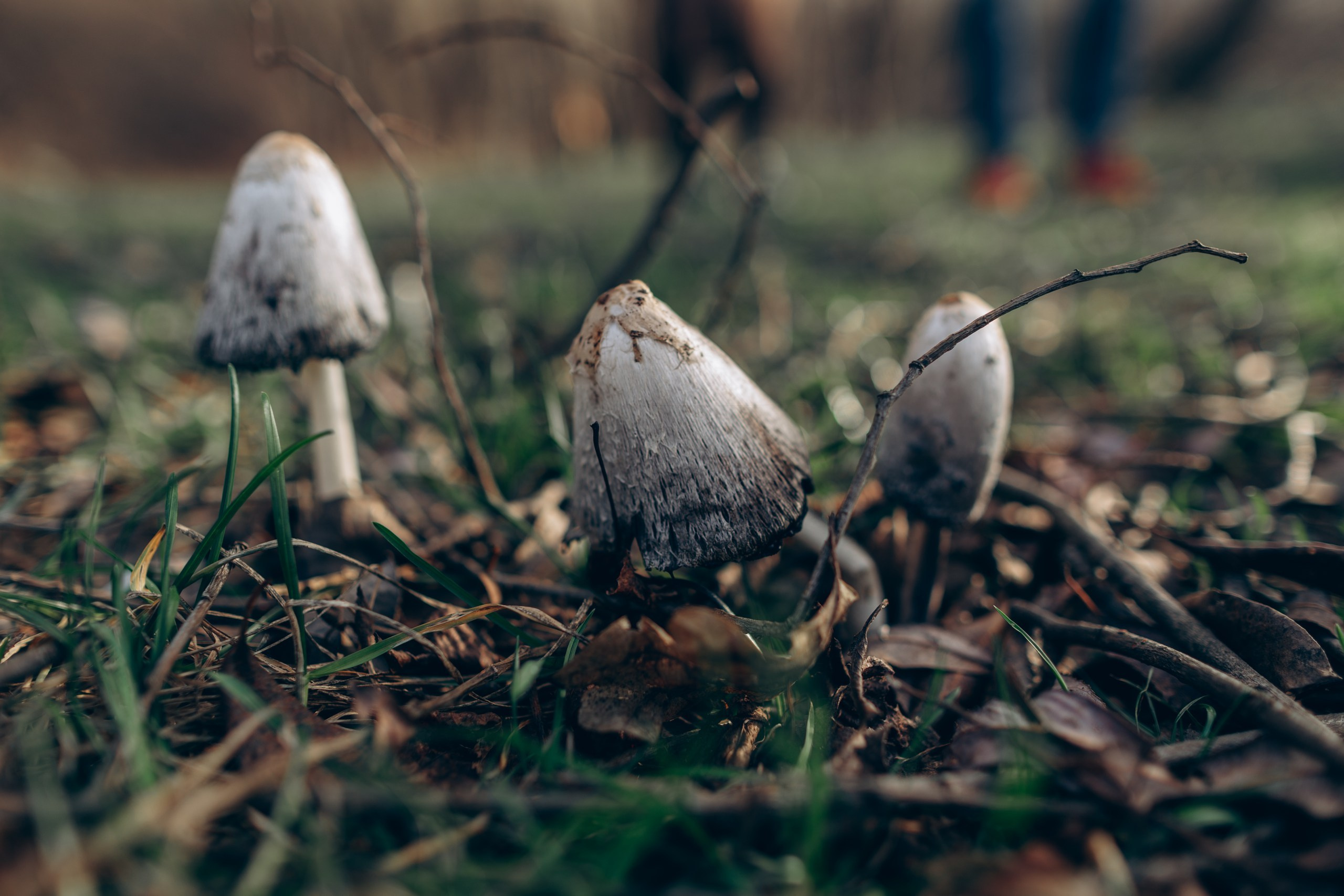 3+1. Семейный фотограф в Белгороде