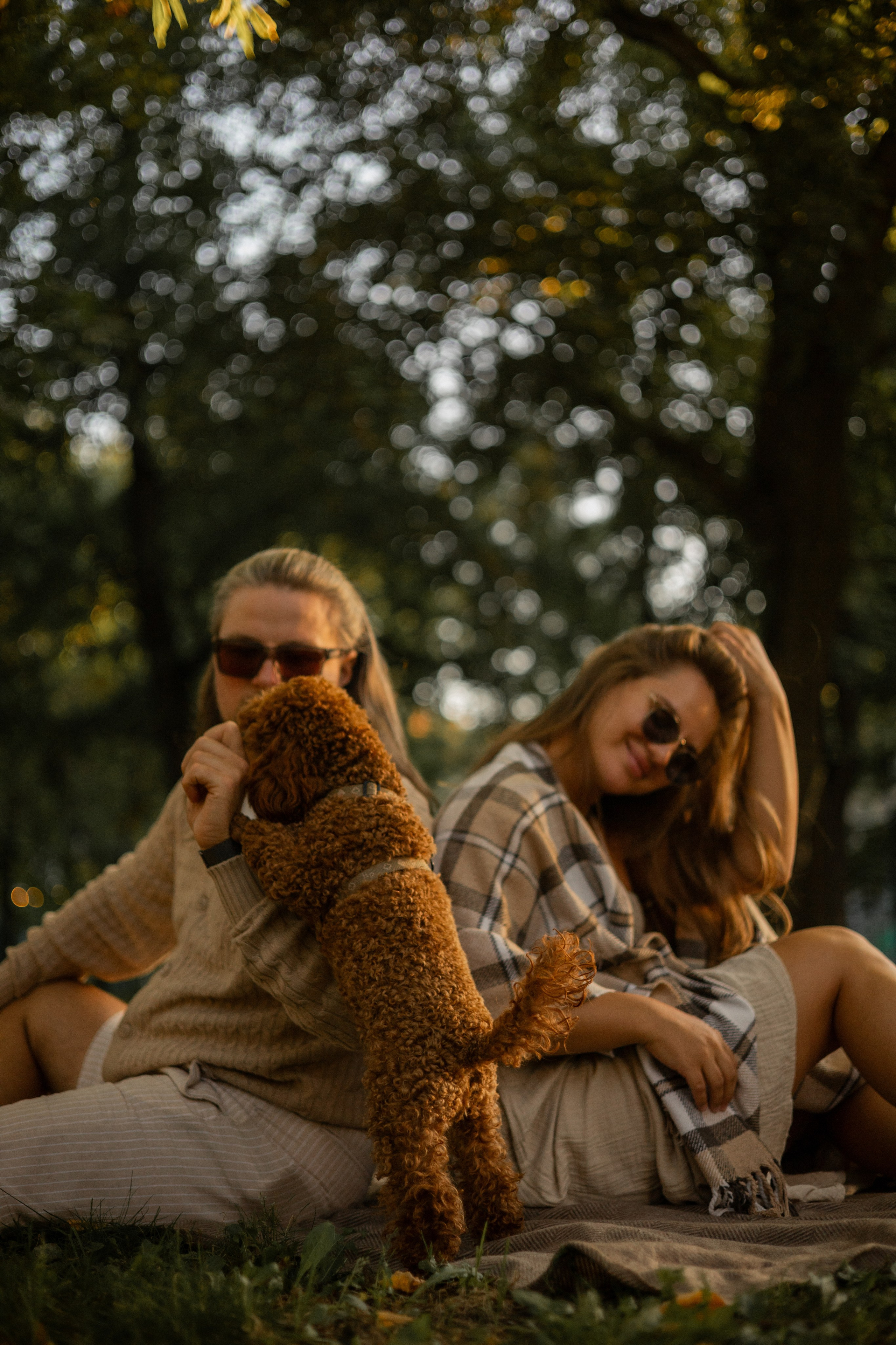 Мишель и её семья. Фотограф — анималист •love-story•|Санкт-Петербург