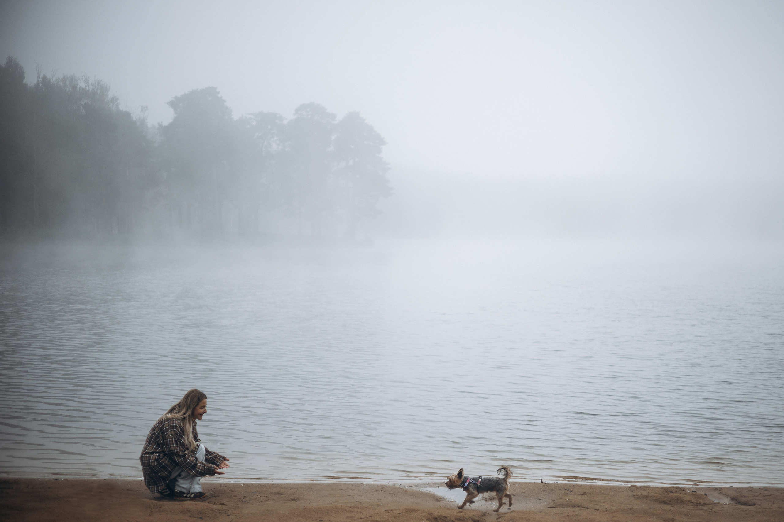 Наташа & Оззи & Йоша. Фотограф — анималист •love-story•|Санкт-Петербург