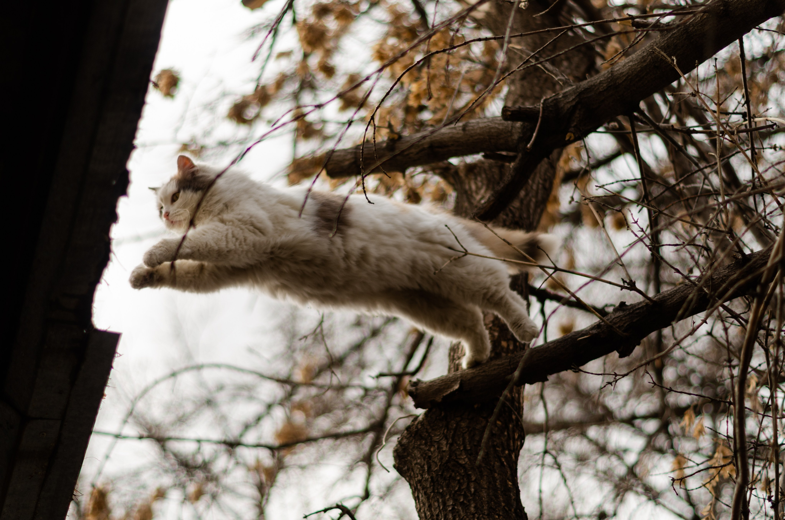 Ковбойская девчонка. Фотограф Марина Доглядная Челябинск фотосессии с лошадьми, мотоциклами