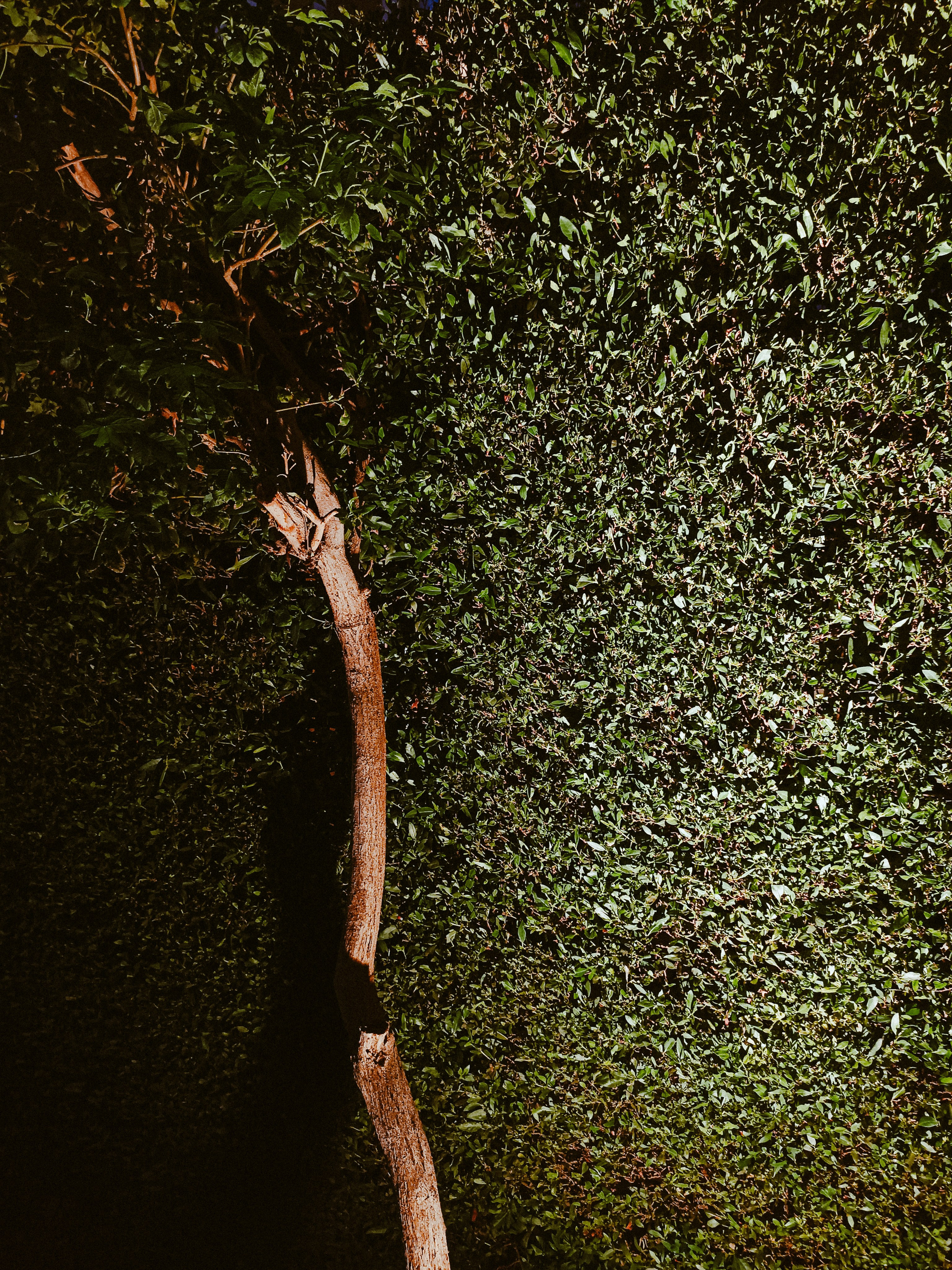 Мобильная. Jorgis — фотограф в Хургаде / обучение фотографии