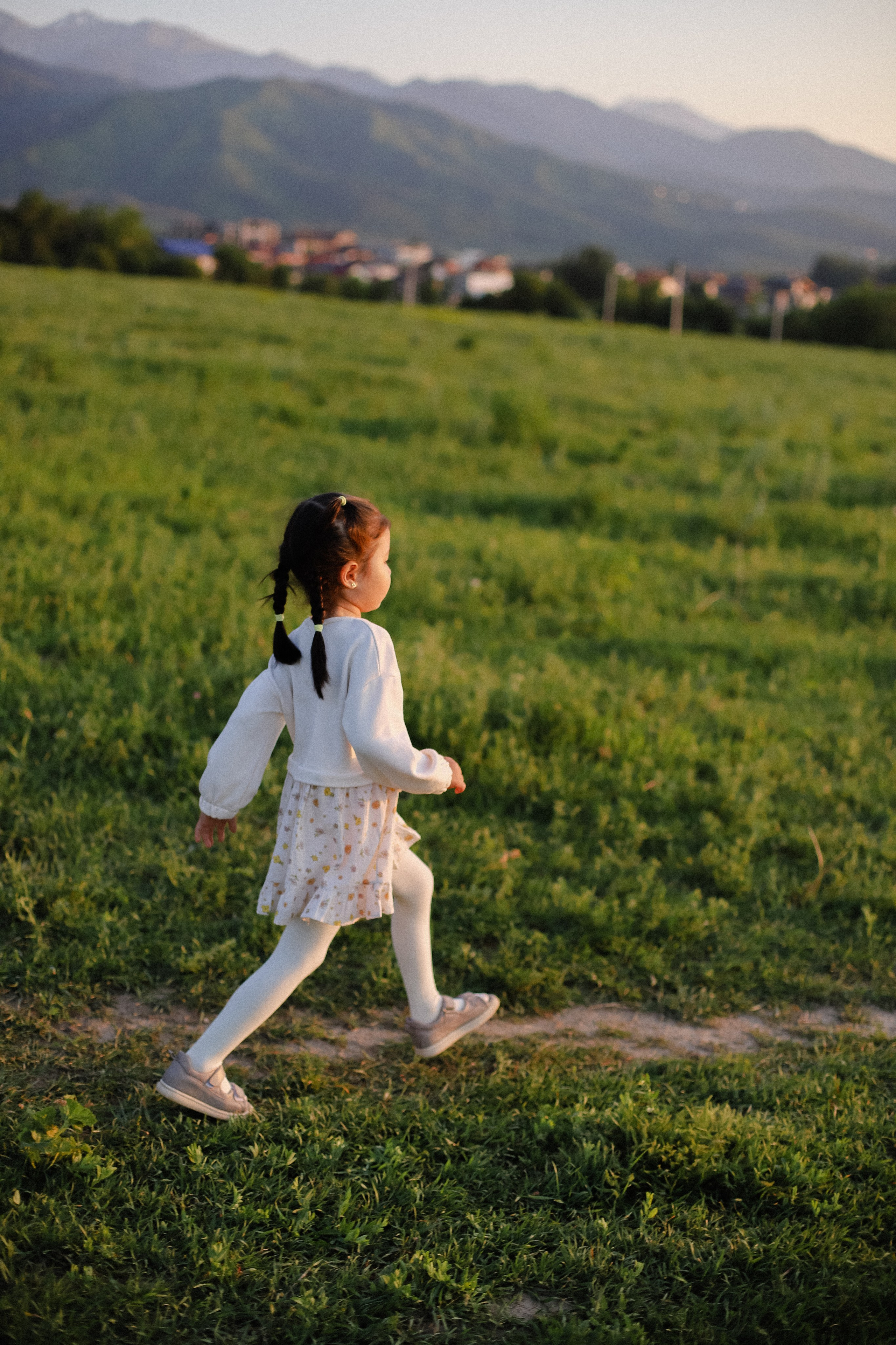 Поле на закате. Фотограф в Алматы и Москве Даша Пушкина