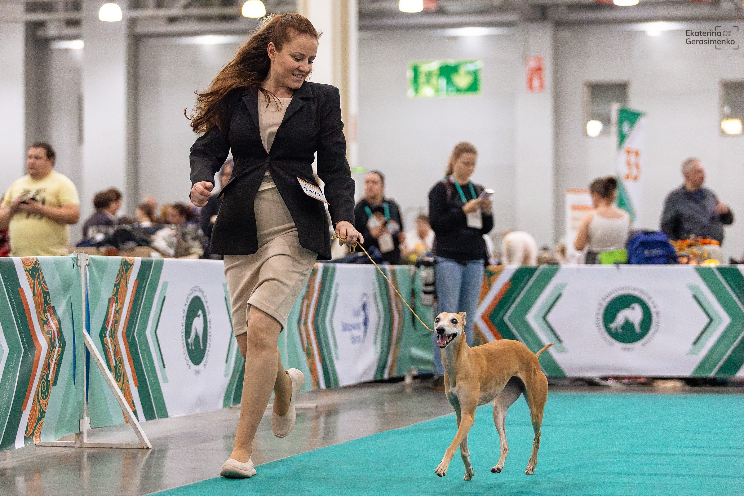 16–17 ноября 2024, Выставка ЕВРАЗИЯ, г. Москва. Htykk_photo