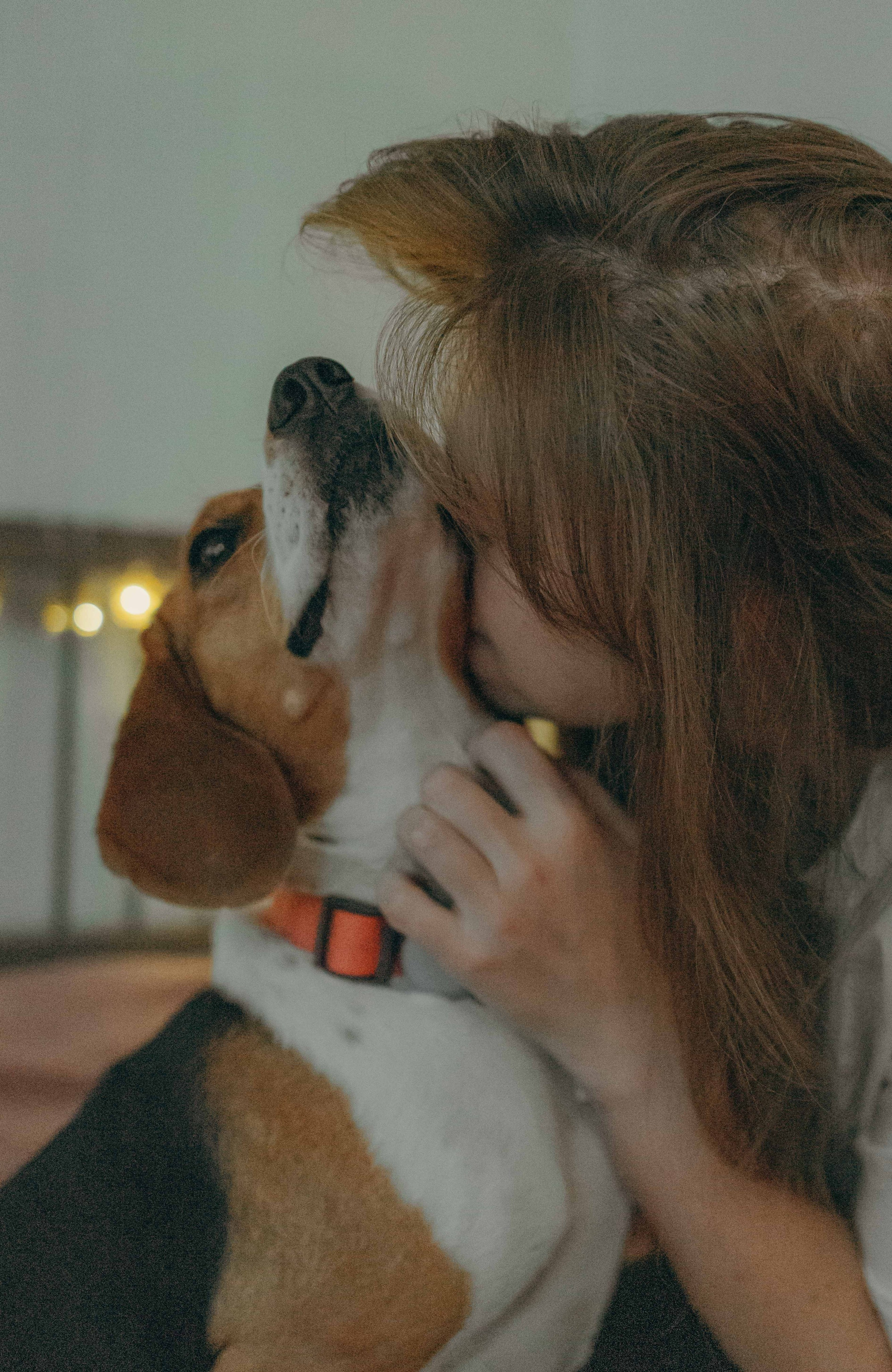 Света и Ива. Фотограф-анималист в Москве Лера Черноног