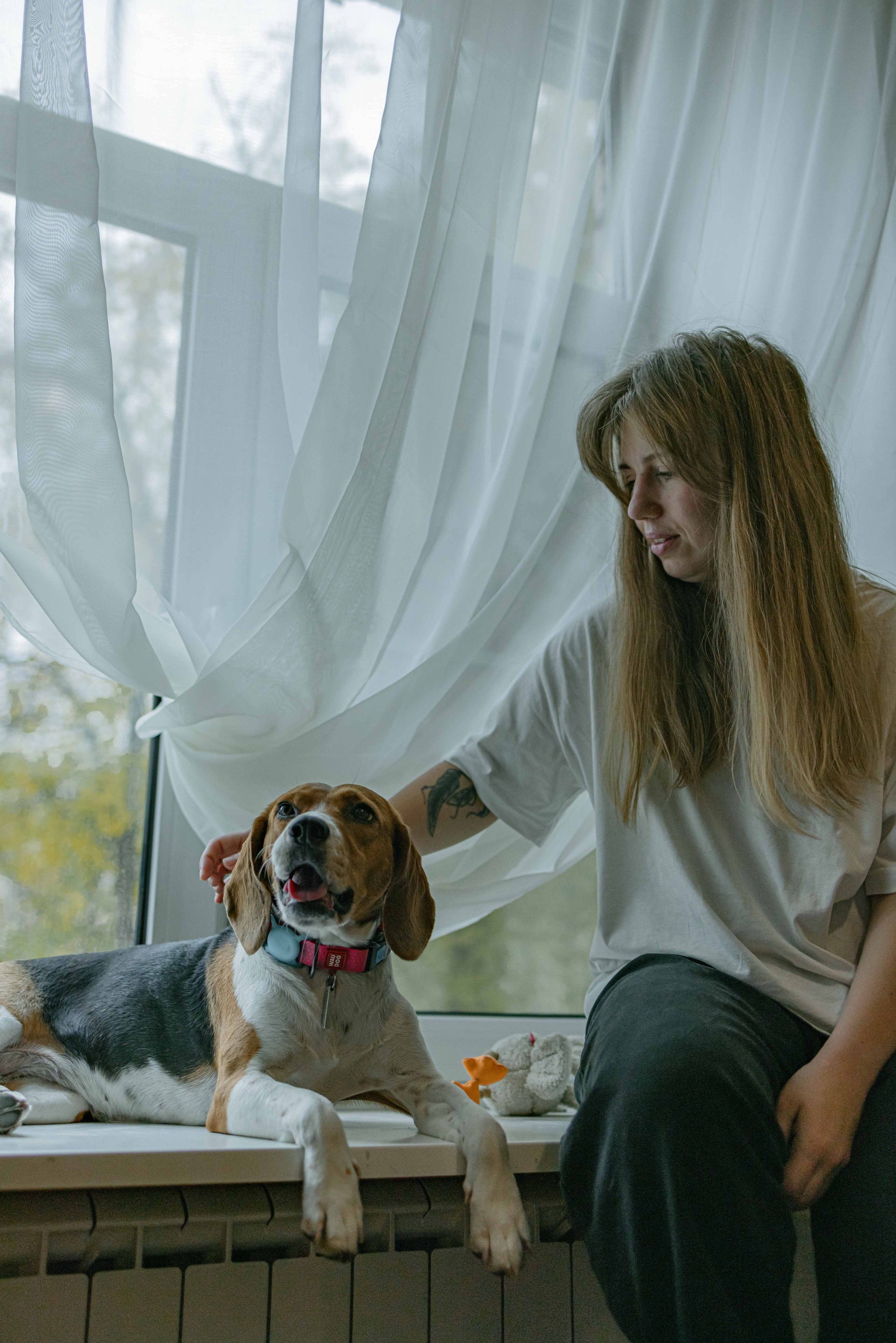 Света и Ива. Фотограф-анималист в Москве Лера Черноног