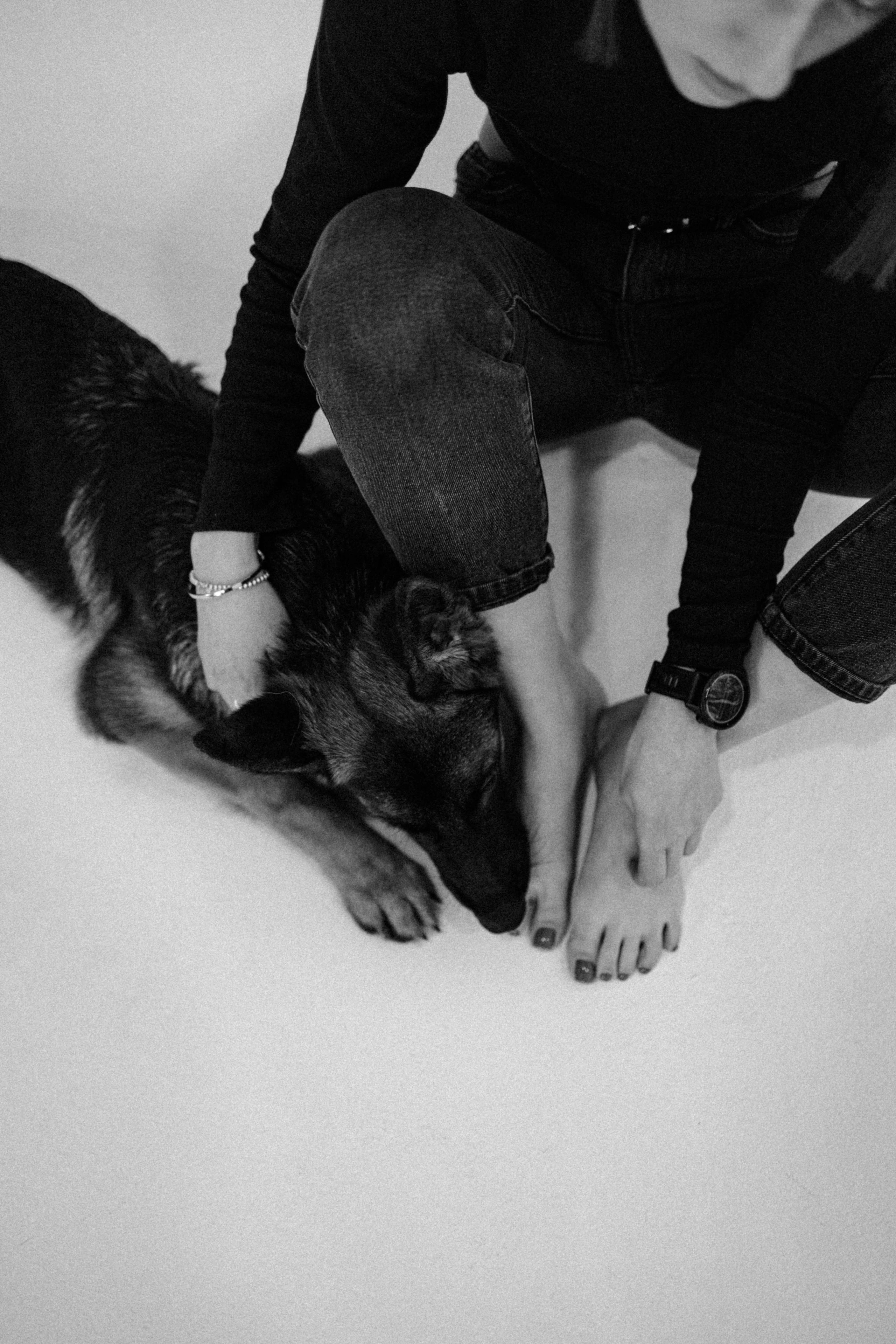 Ася и Буся. Фотограф-анималист в Москве Лера Черноног