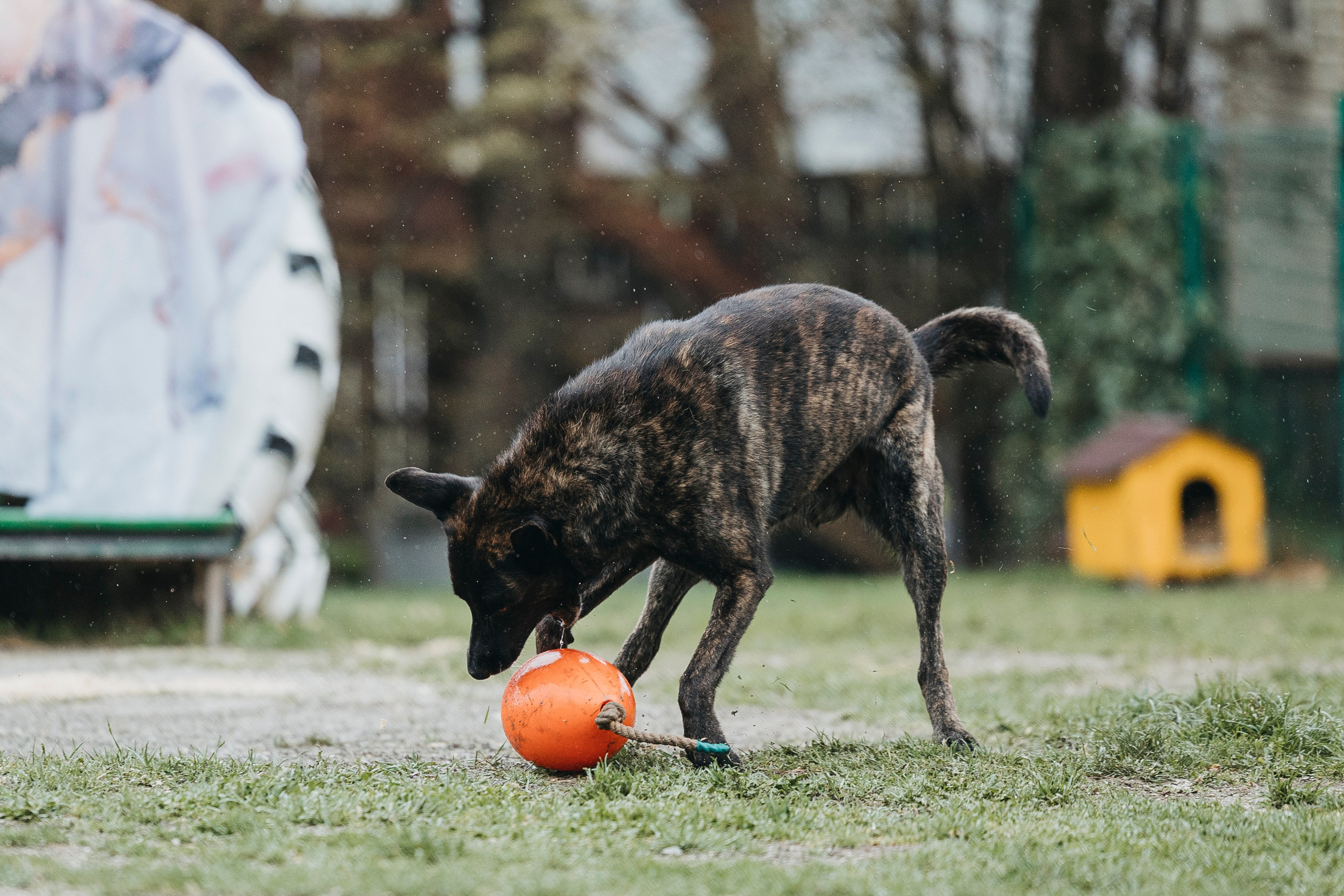 Геленджик Мондьоринг. Фотограф-анималист Анна Маринич