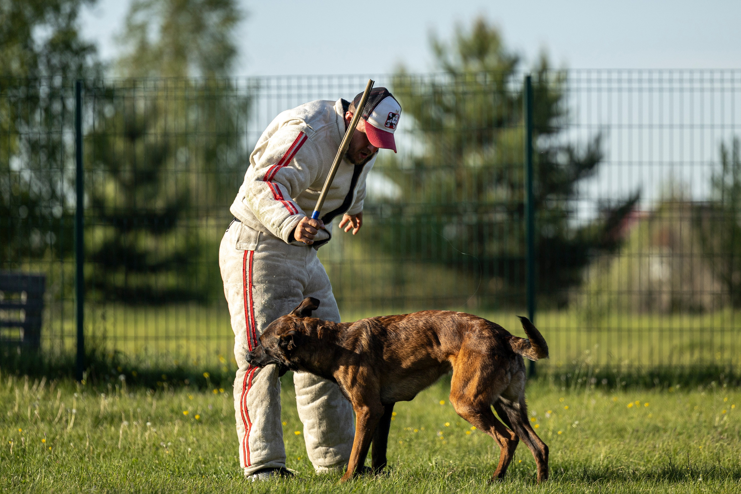 Испытания по мондьорингу в Нижнем Новгороде. Фотограф-анималист Анна Маринич