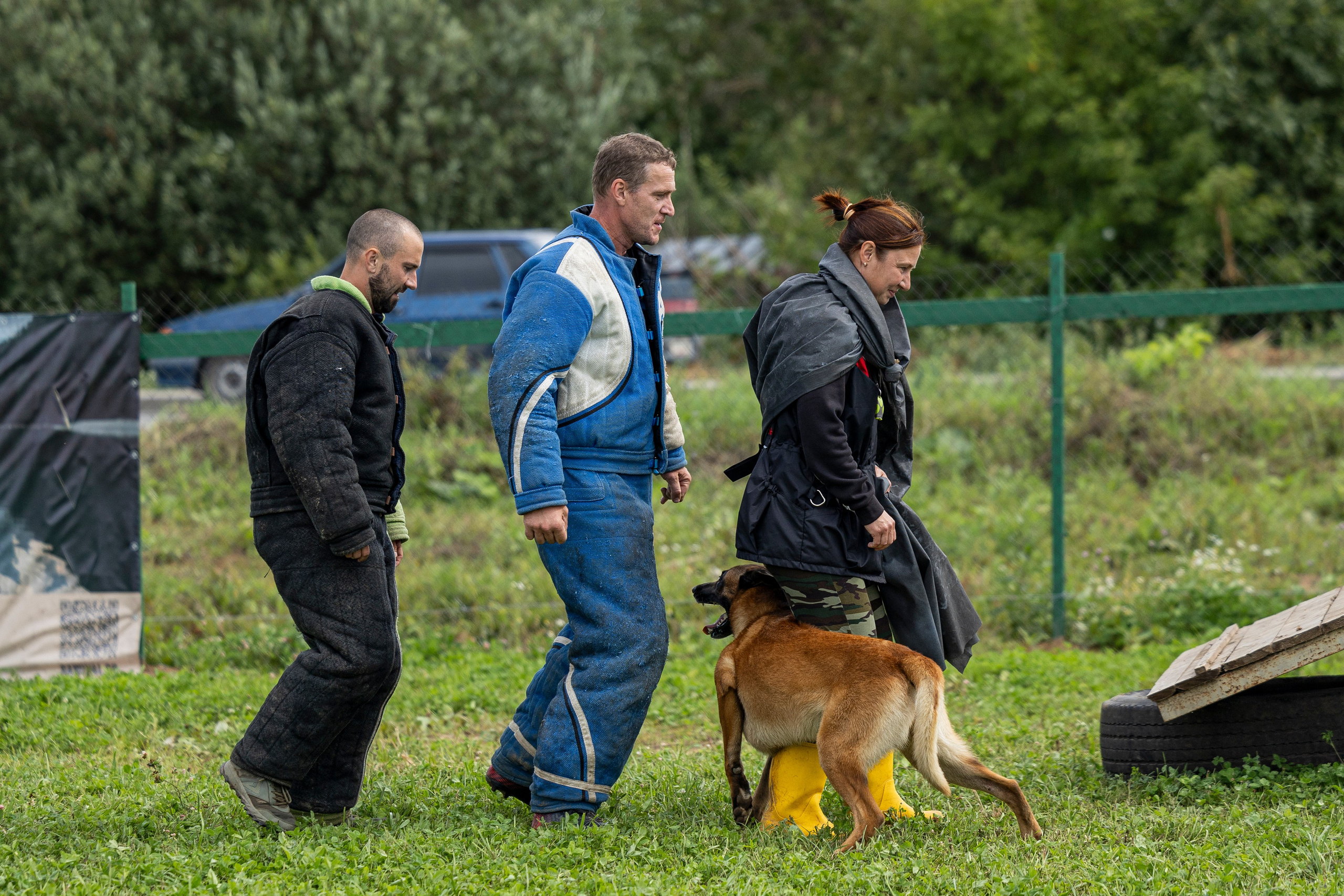 Соревнования по Мондьорингу г. Вологда 10-11.08.2024. Фотограф-анималист Анна Маринич
