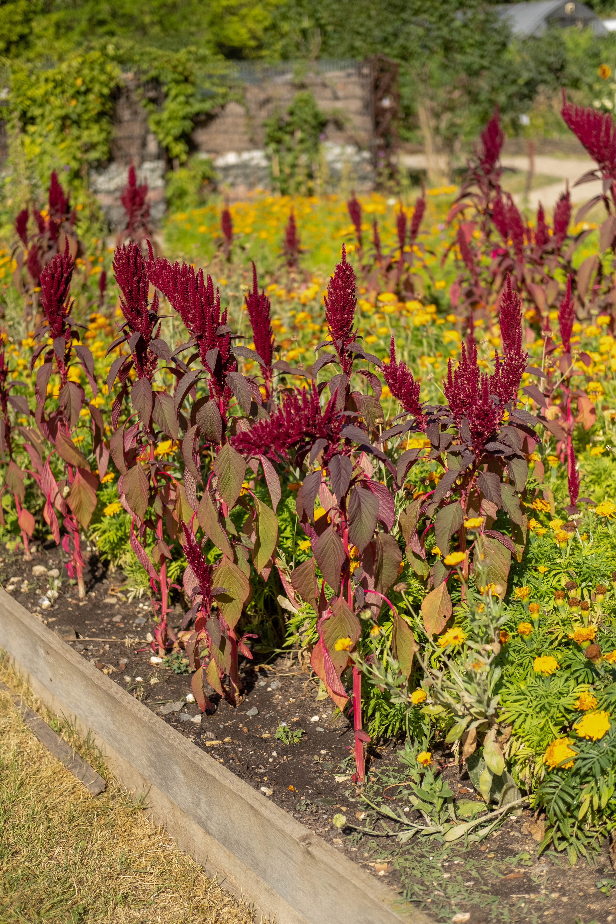 Москва 2024. Свадебный и семейный фотограф в Новосибирске, Санкт-Петербурге, Москве