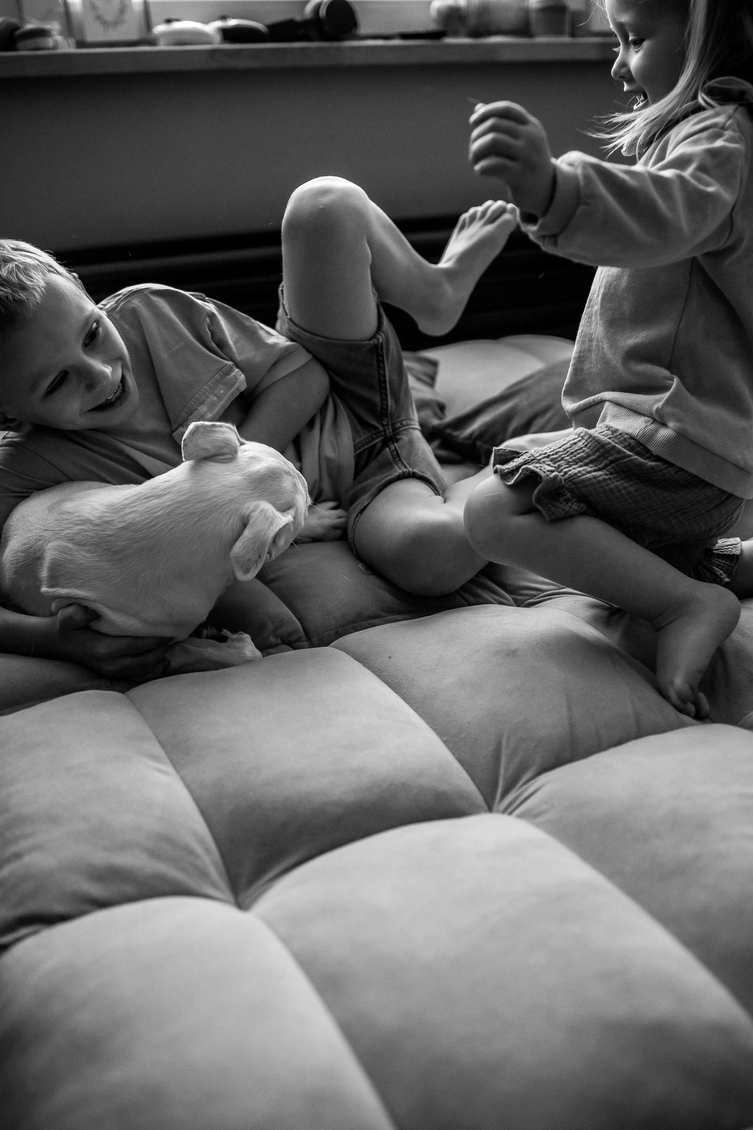 Фотосессия с детьми дома для Вадима, Кати, Феди и Алисы. Семейный фотограф в Москве, Щелково, Фрязино _ Виктория Степанова