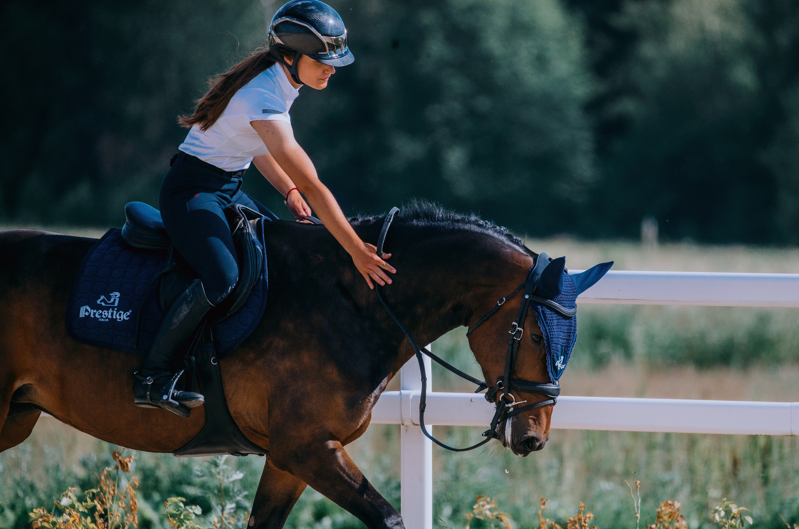 Тренировки. Фотограф-анималист Ксендзова Кристина