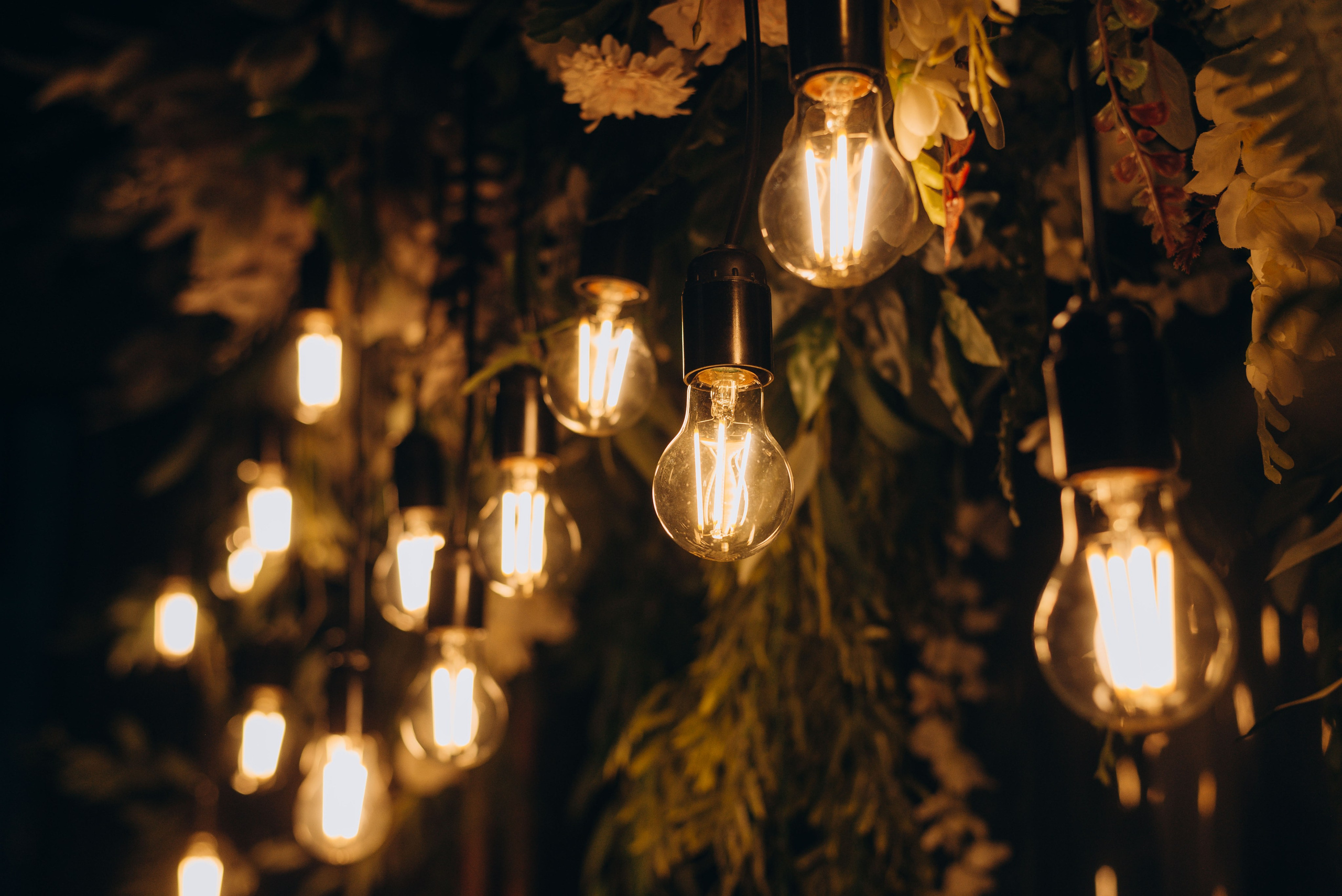 II. ЛИНА ЛАЗАРЕВА, Фотограф в Москве, МО и на юге России