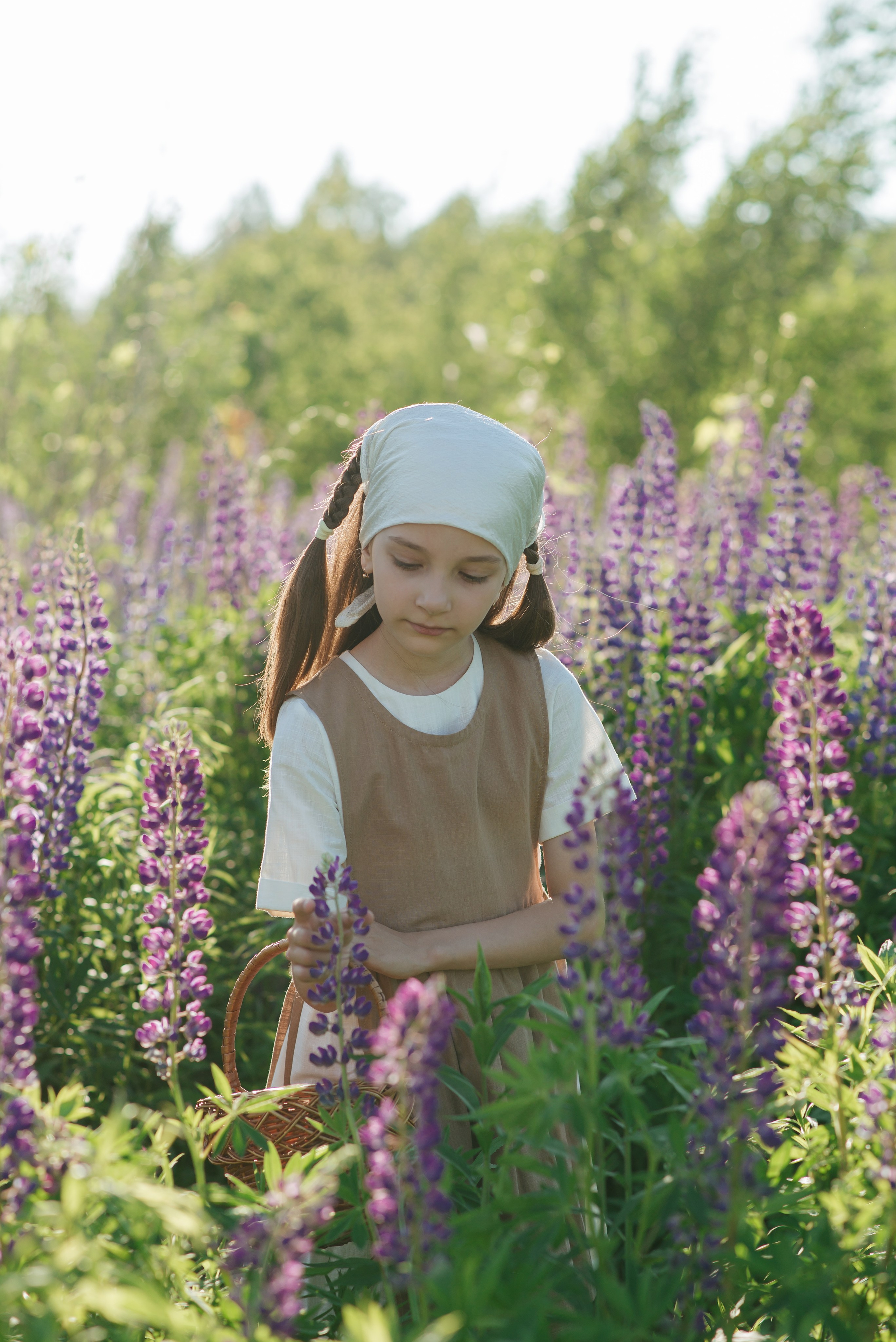 Анонс «Люпиновое поле в городе». Фотограф Екатерина Шереметова Ижевск Сарапул Воткинск