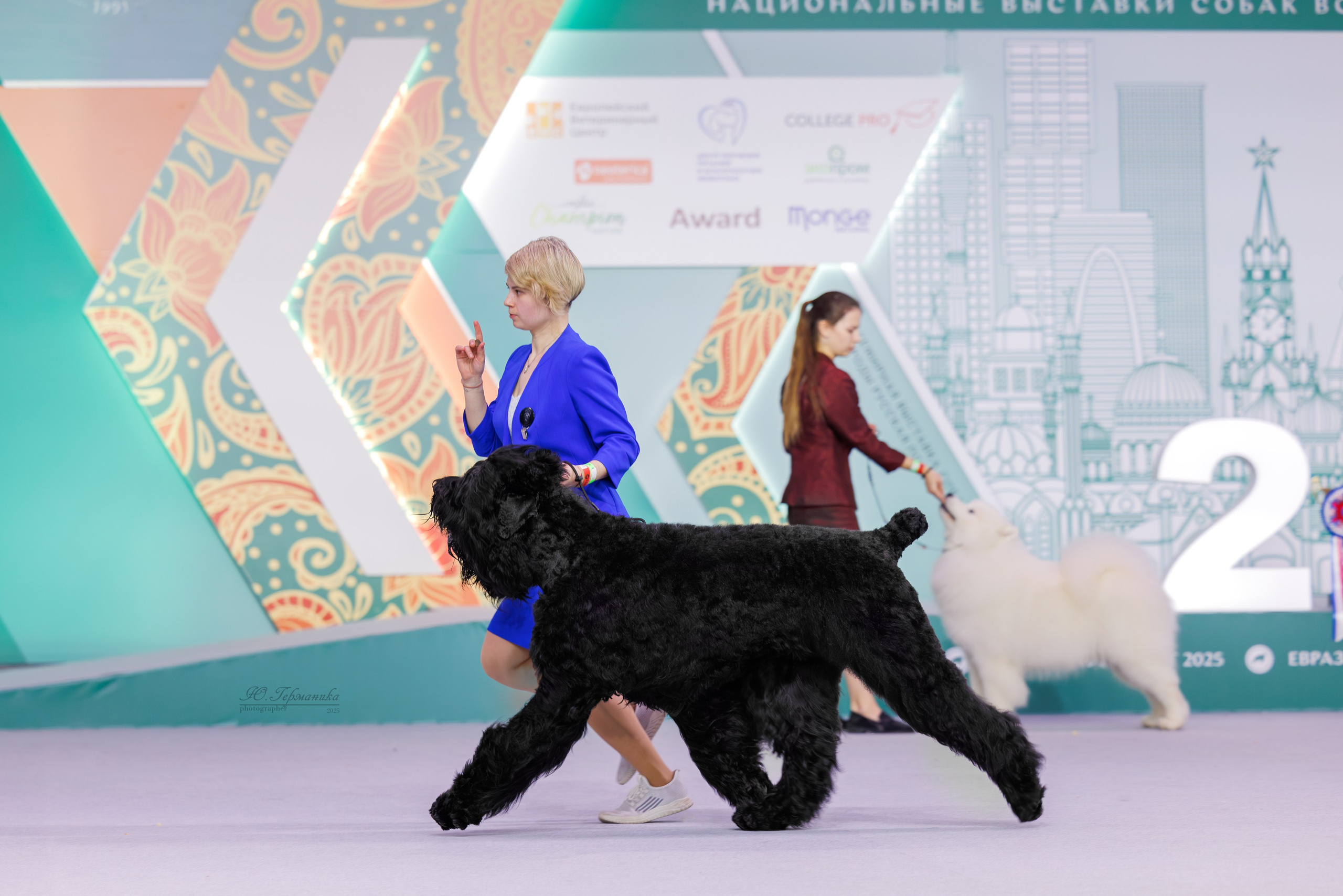 Евразия 15-16.11.2025. Фотограф-анималист Юлия Германика