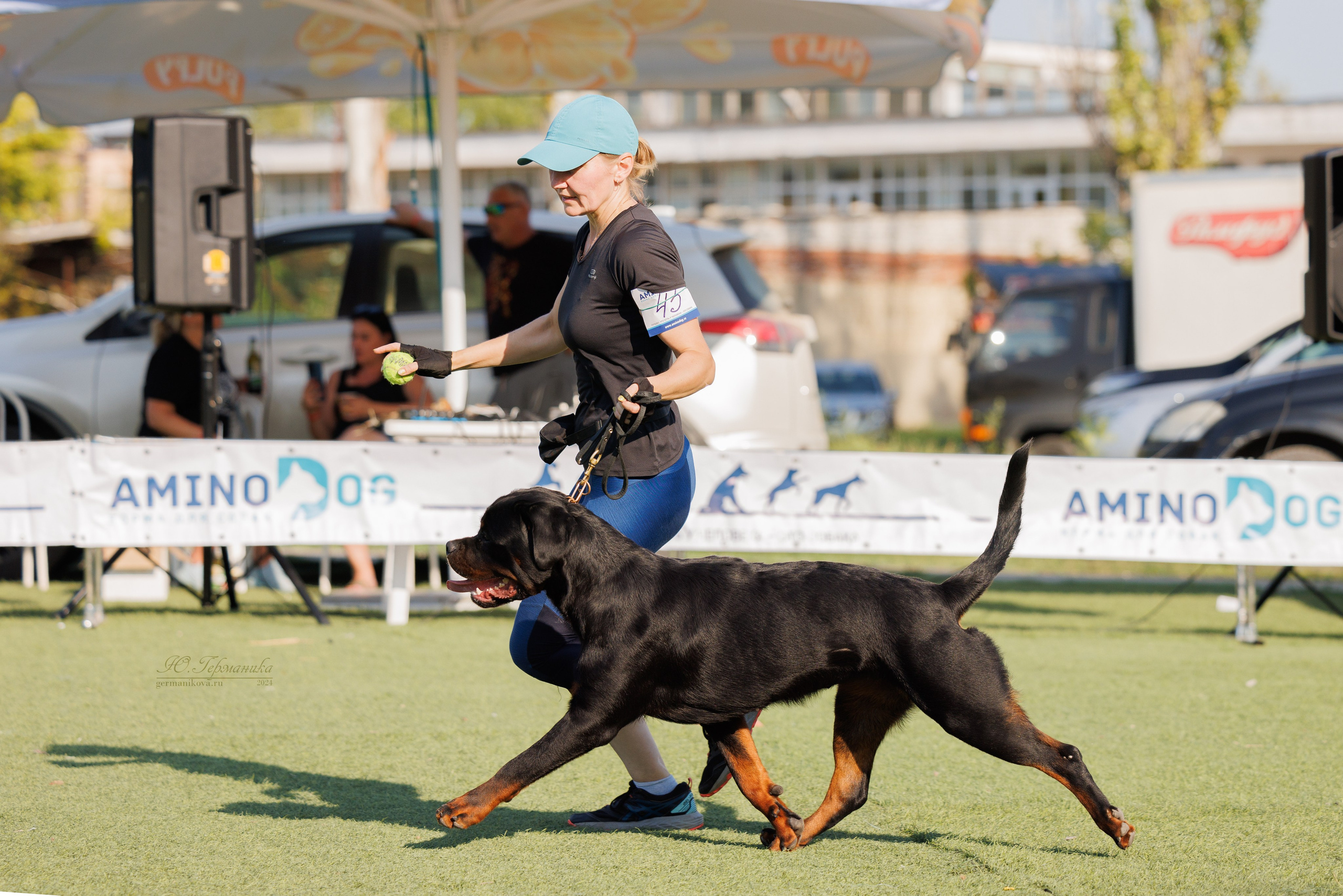 Анапа ротвейлеры 14-15.09.2024. Фотограф-анималист Юлия Германика