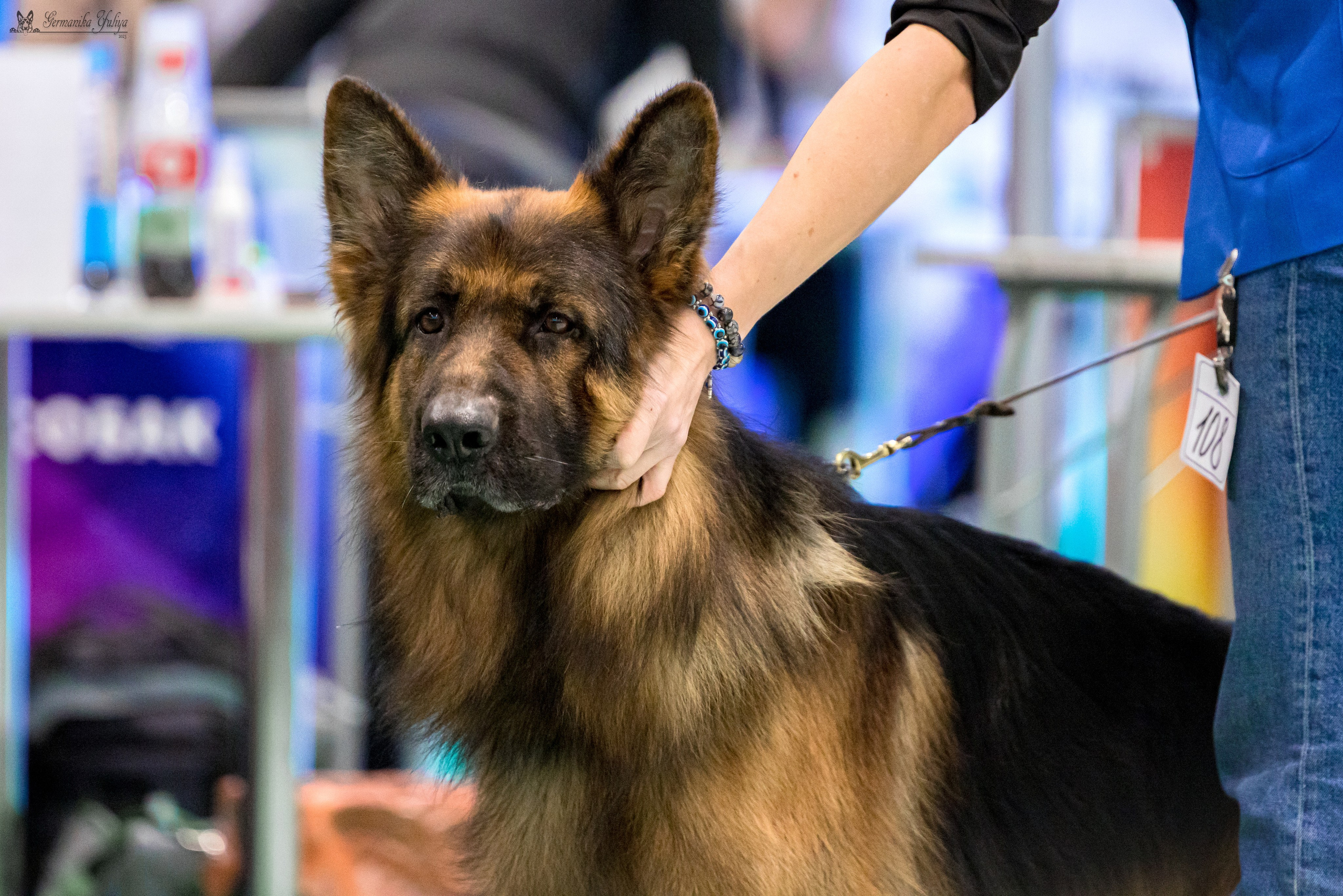 Минск 25-26.11.2023. Фотограф-анималист Юлия Германика