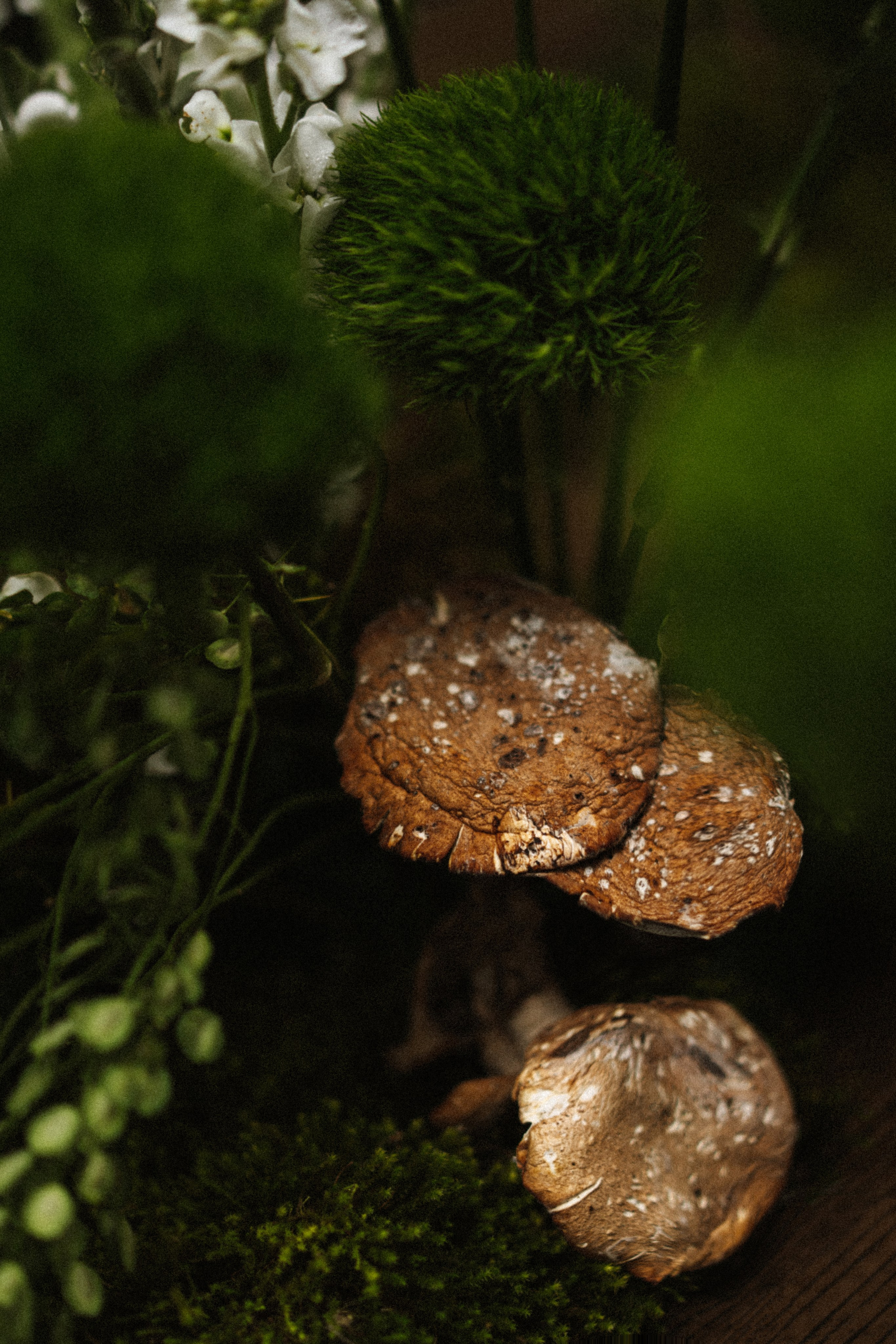 Прячься! Дождь идёт. Сочи. 2024. Никита Погосов