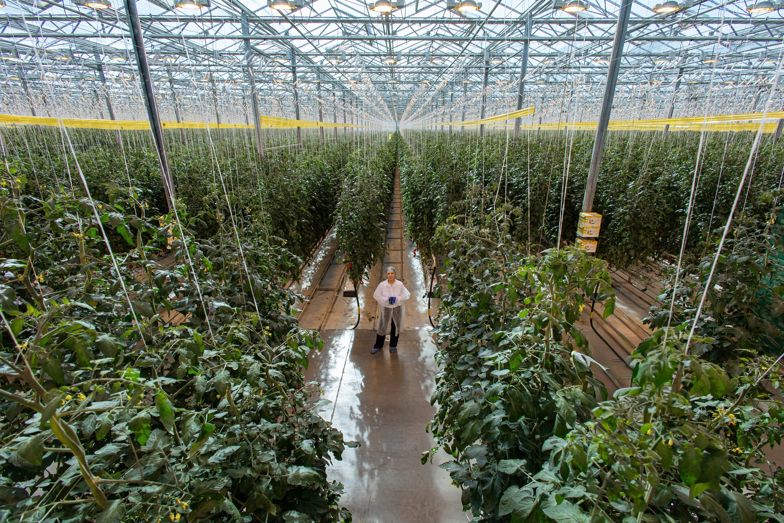 Производство. Фотограф Николай Петрушкин | Ставрополь, Москва