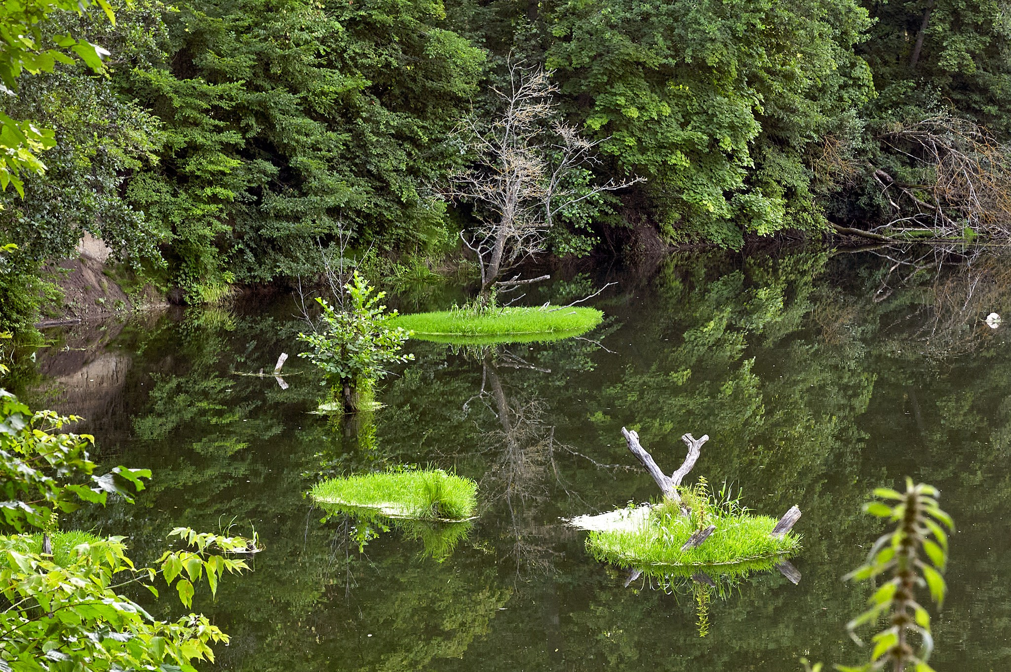 Искусство пейзажа: гармония природы в фотографиях. Координаты красоты — география в фокусе