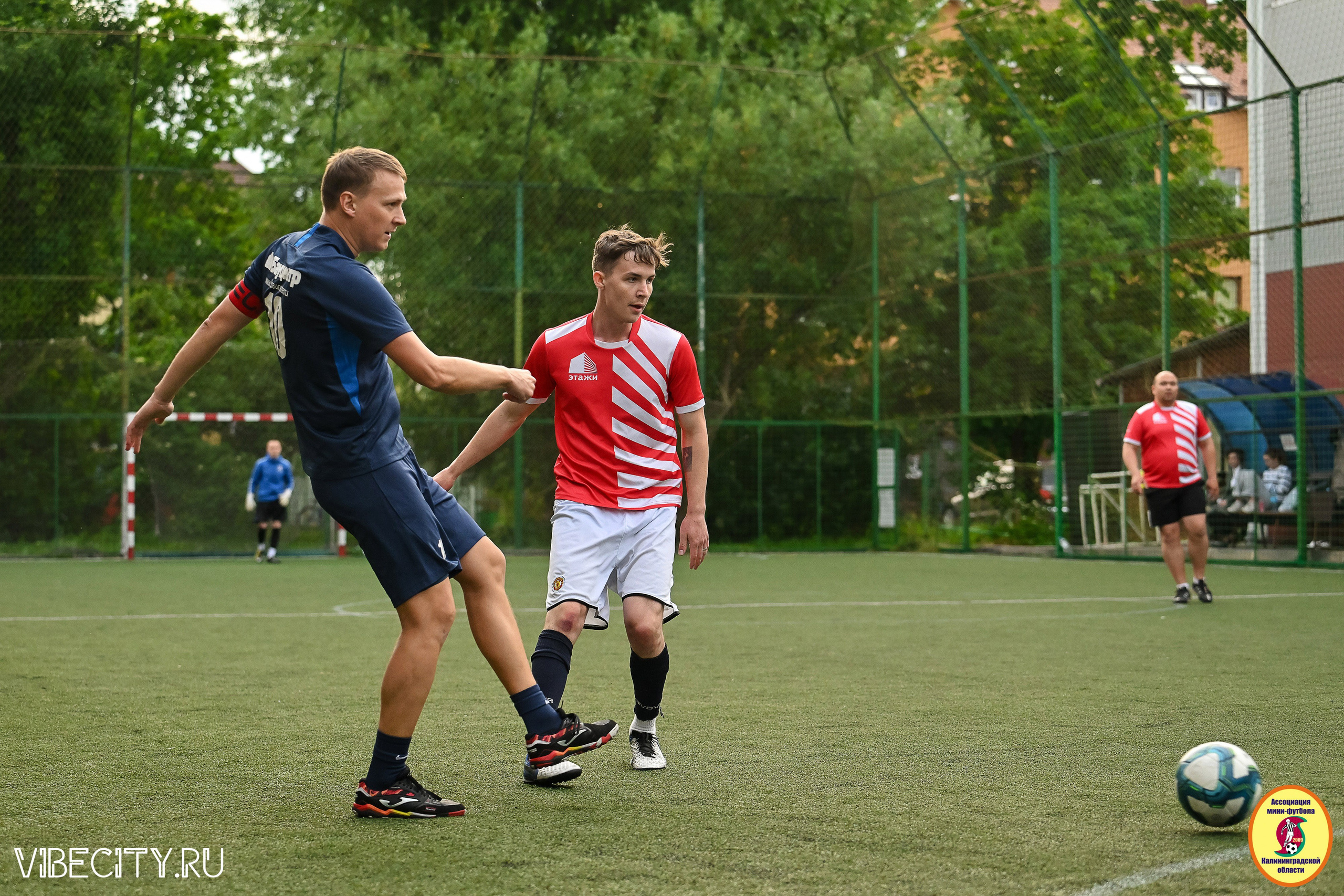 ИГРЫ МИНИ-ФУТБОЛЬНОЙ И КОРПОРАТИВНОЙ ЛИГИ. VIBECITY.RU Вайб Сити Ру Фоторепортажи Фотоотчеты Калининград