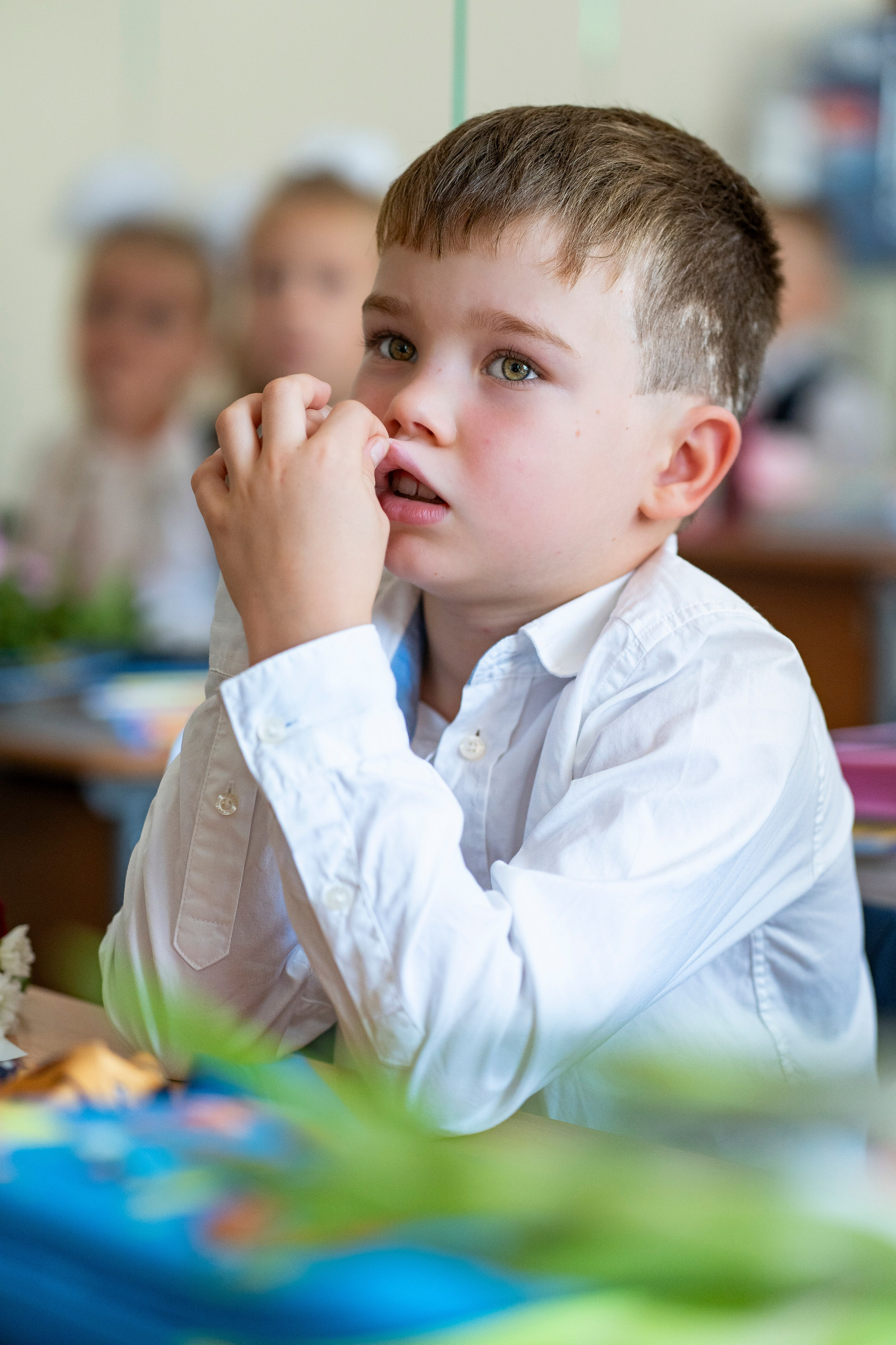 1 сентября. Школьные альбомы и альбомы для детского сада. Юлия Осипова. Москва