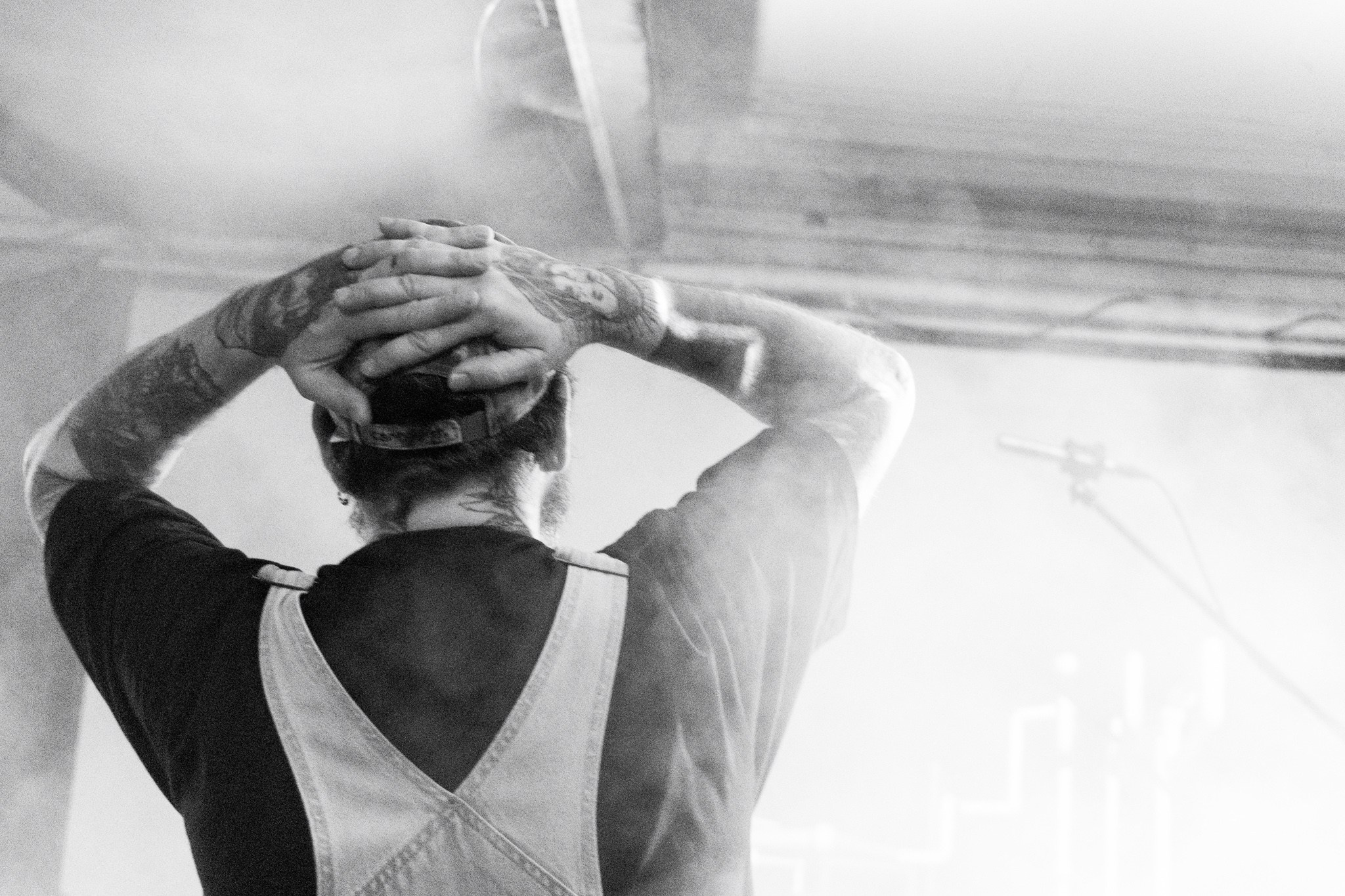 Змееед, Apodemus, 20.12.25, TAGO)))MAGO)))