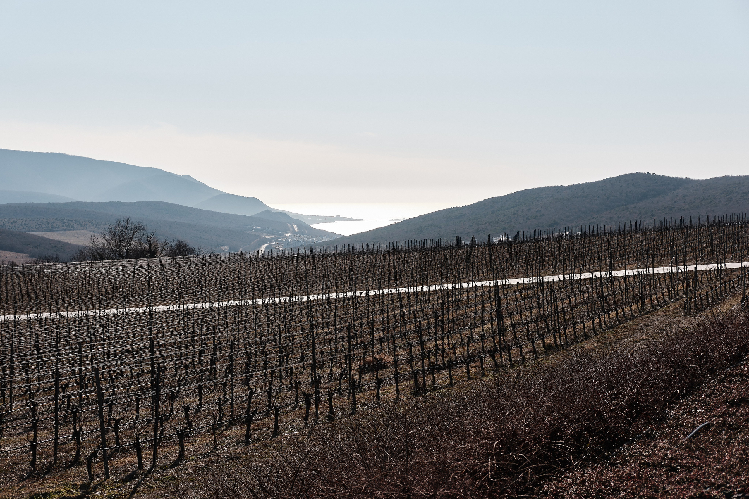 Гастроужин в «Скалистый Берег». Фотограф в Анапе и Краснодаре Тина