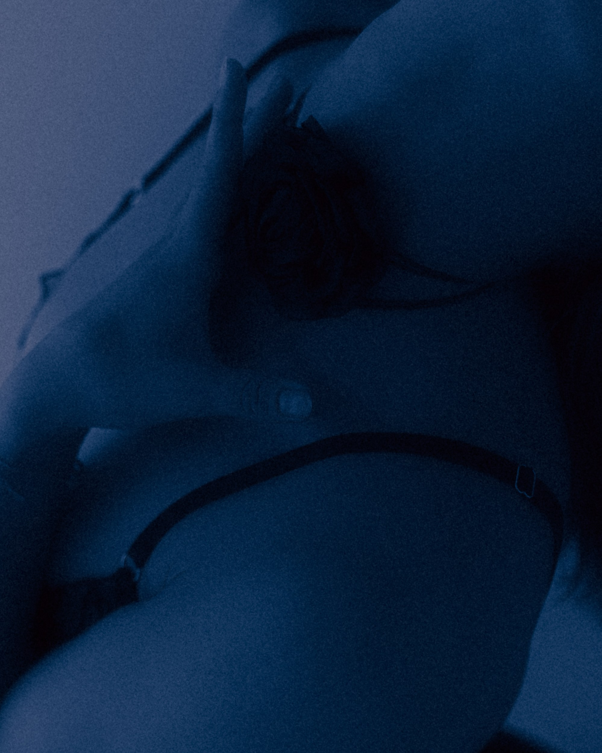 Анастасия. DARYA.BELKINA