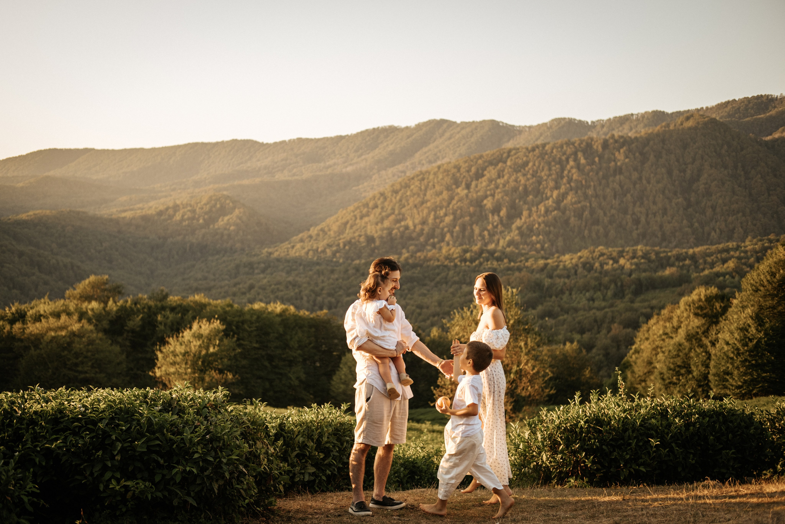 Плантации. Главная