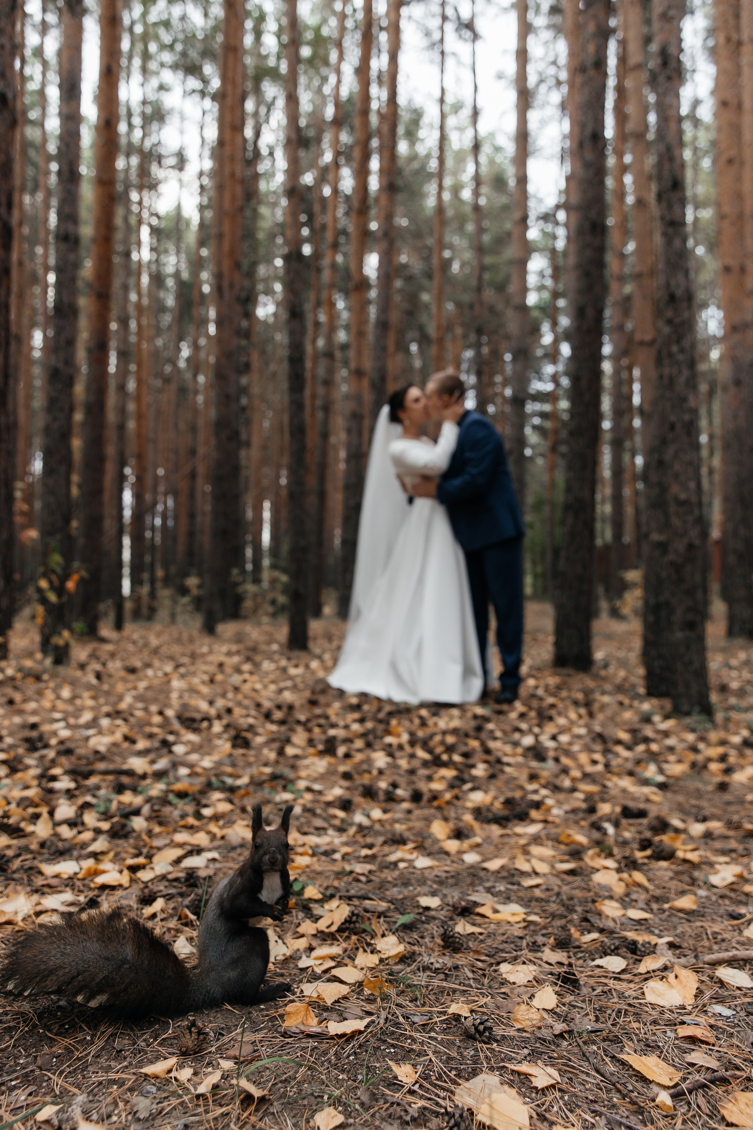 Алина и Максим. Свадебный фотограф Красноярск — Кристина Ива