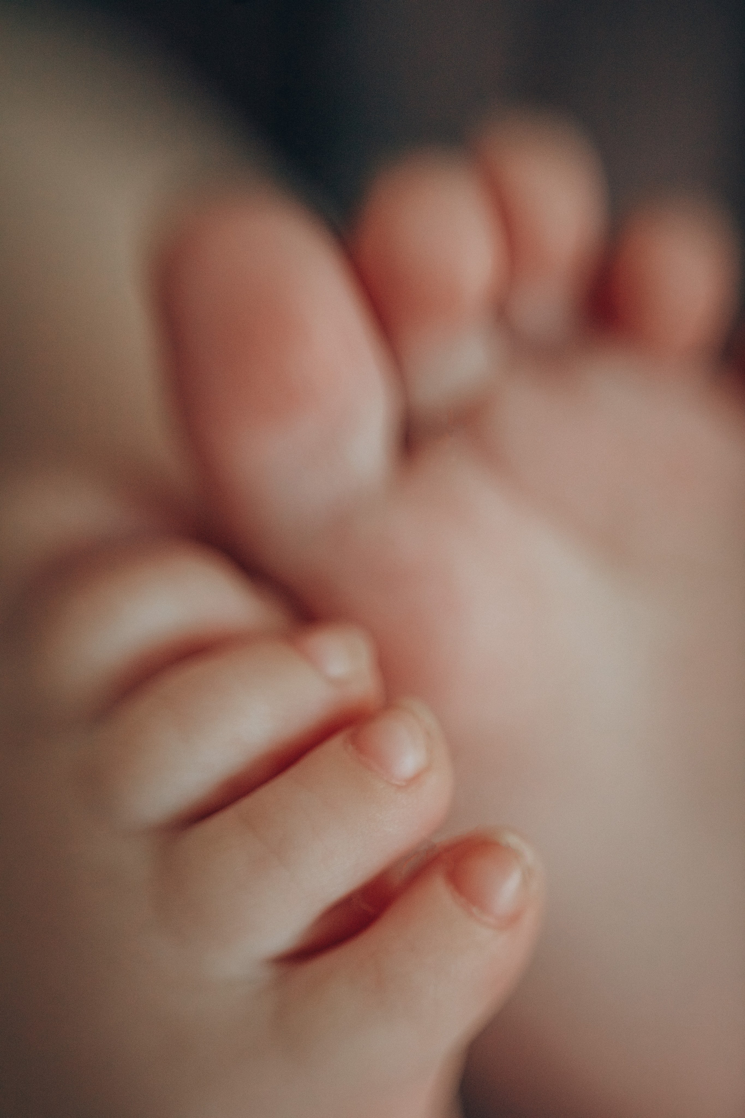 Семья Елены. Семейный и детский фотограф в г. Новосибирске Макеева Анастасия