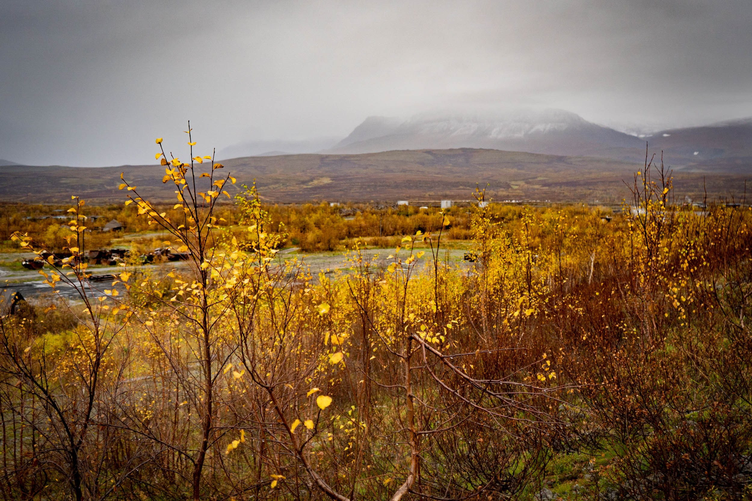 Уборка перрона п.Полярный, станция «110 км». Фотограф Екатерина Зорина