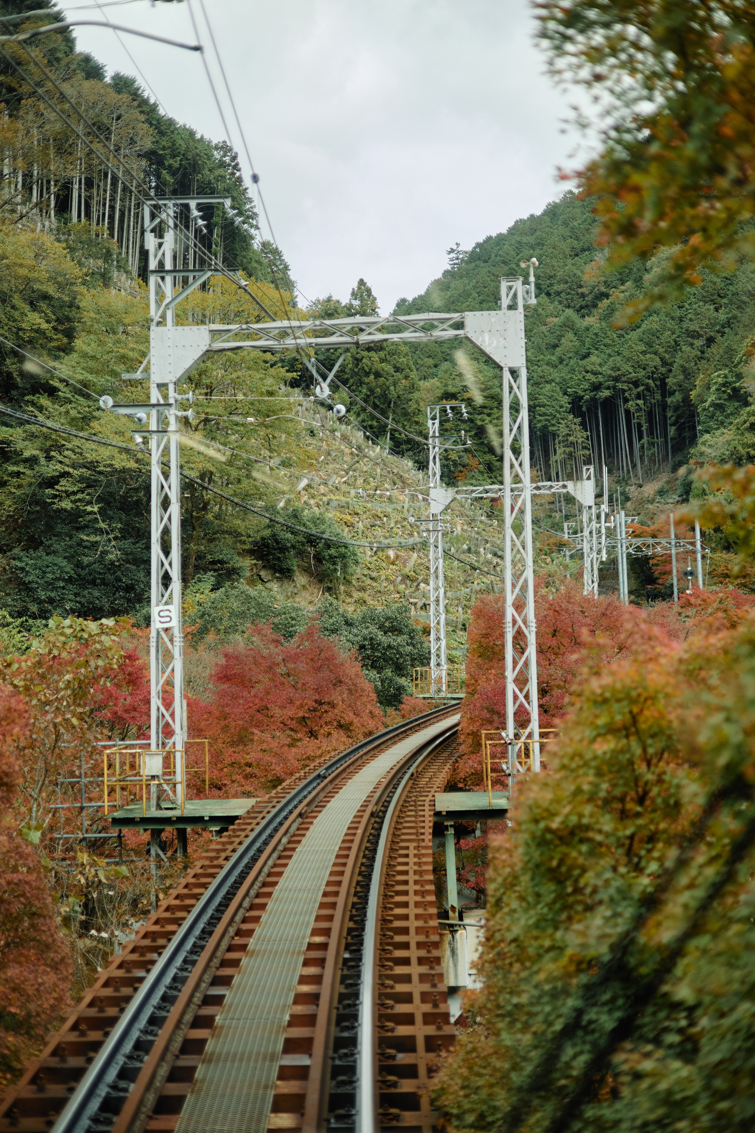 Япония. Профессиональный Фотограф во Владимире, в Москве и в Суздале — Полина Романычева