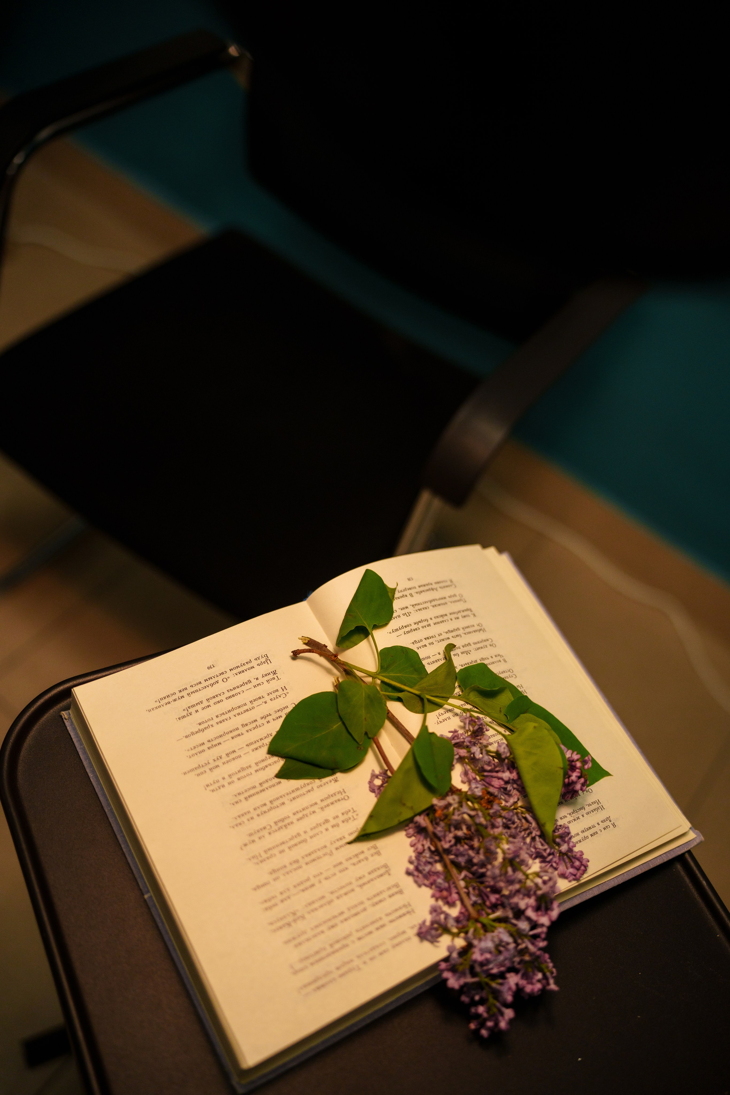 Благотворительный фестиваль «Мир! Труд! Май!» — КЦ «Октябрь» (13.05.2023). Фотограф Андрей Чеботок (Белгород, Курск, Воронеж, Старый Оскол)