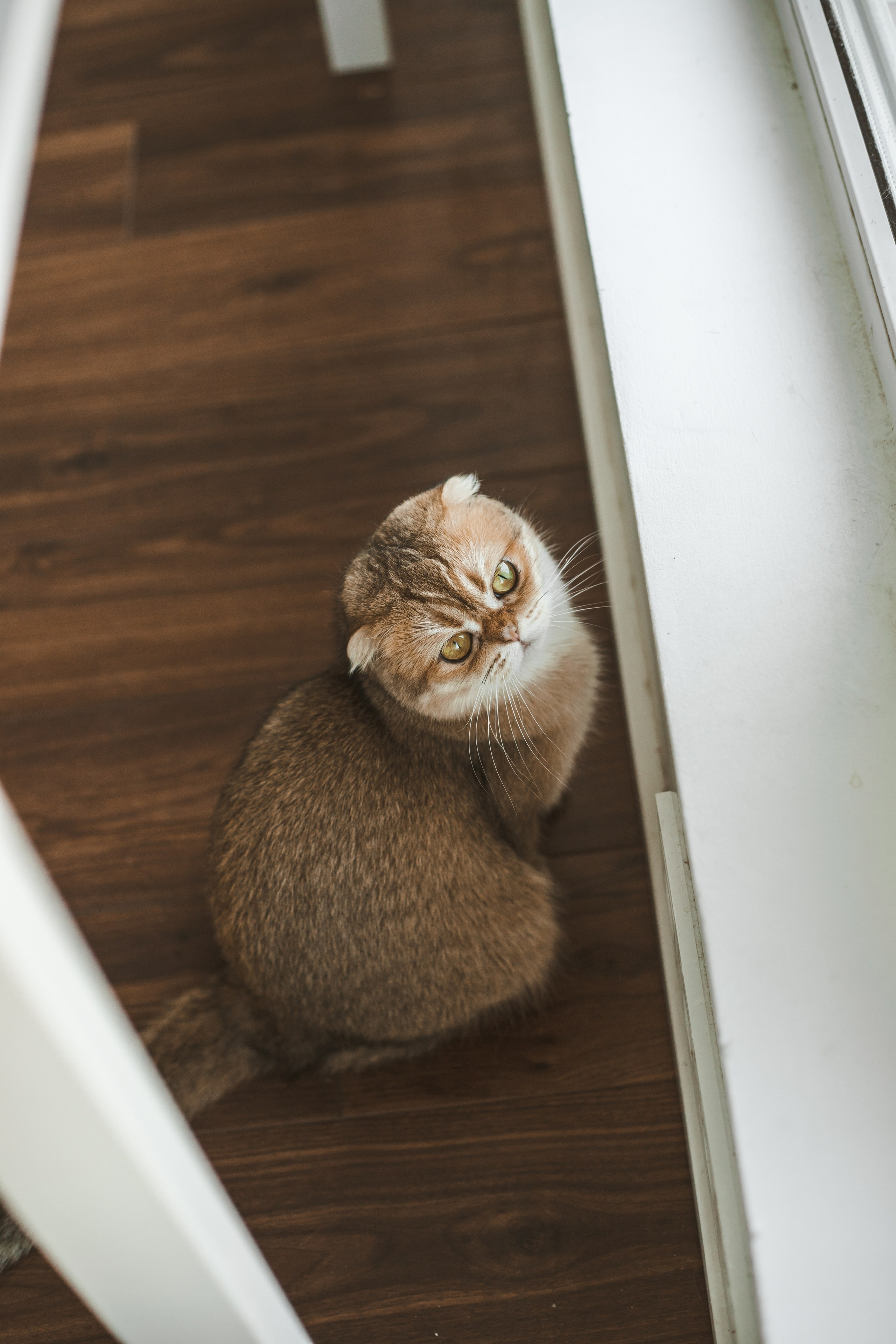 Когда в семье появился ещё один человечек…)) <3. Фотограф Сочи, Адлер, Красная Поляна — Вероника Радченко