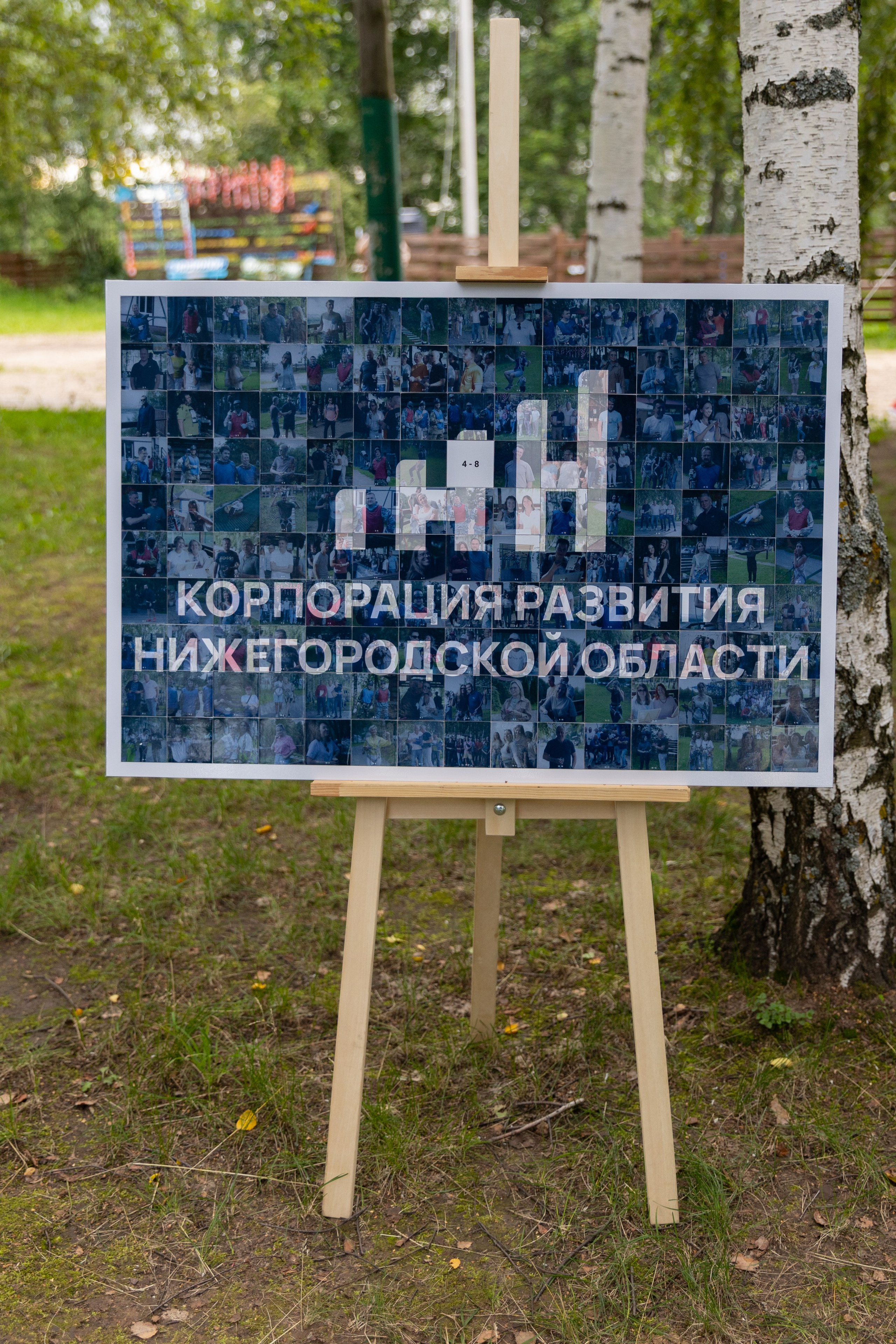 Фотомозайка. Инсталаб Нижний Новгород