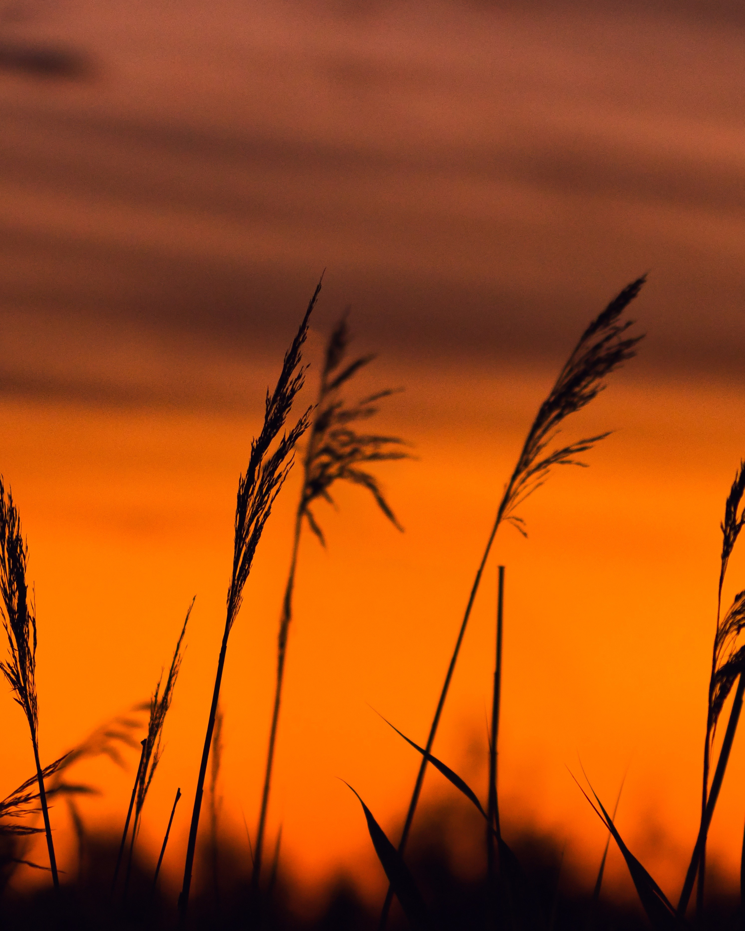 Стрит‑фото: жизнь города в кадре — реальные моменты. FM Media Сrew. Репортажные фото и видео