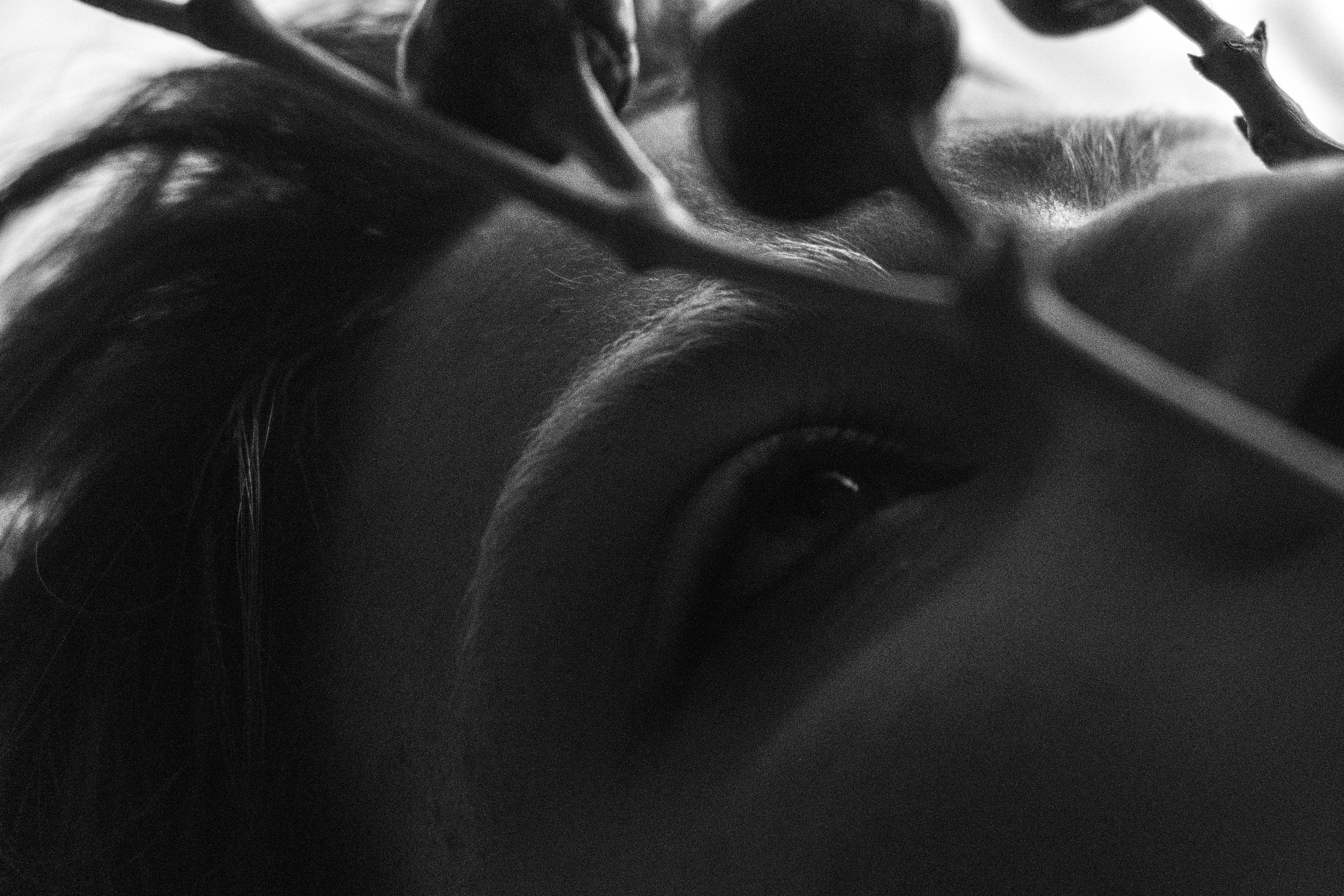 Главная. Софа Катастрофа, Одичание. фотохудожница, креативный продюсер, автор. Nude, eros, портретный фотограф