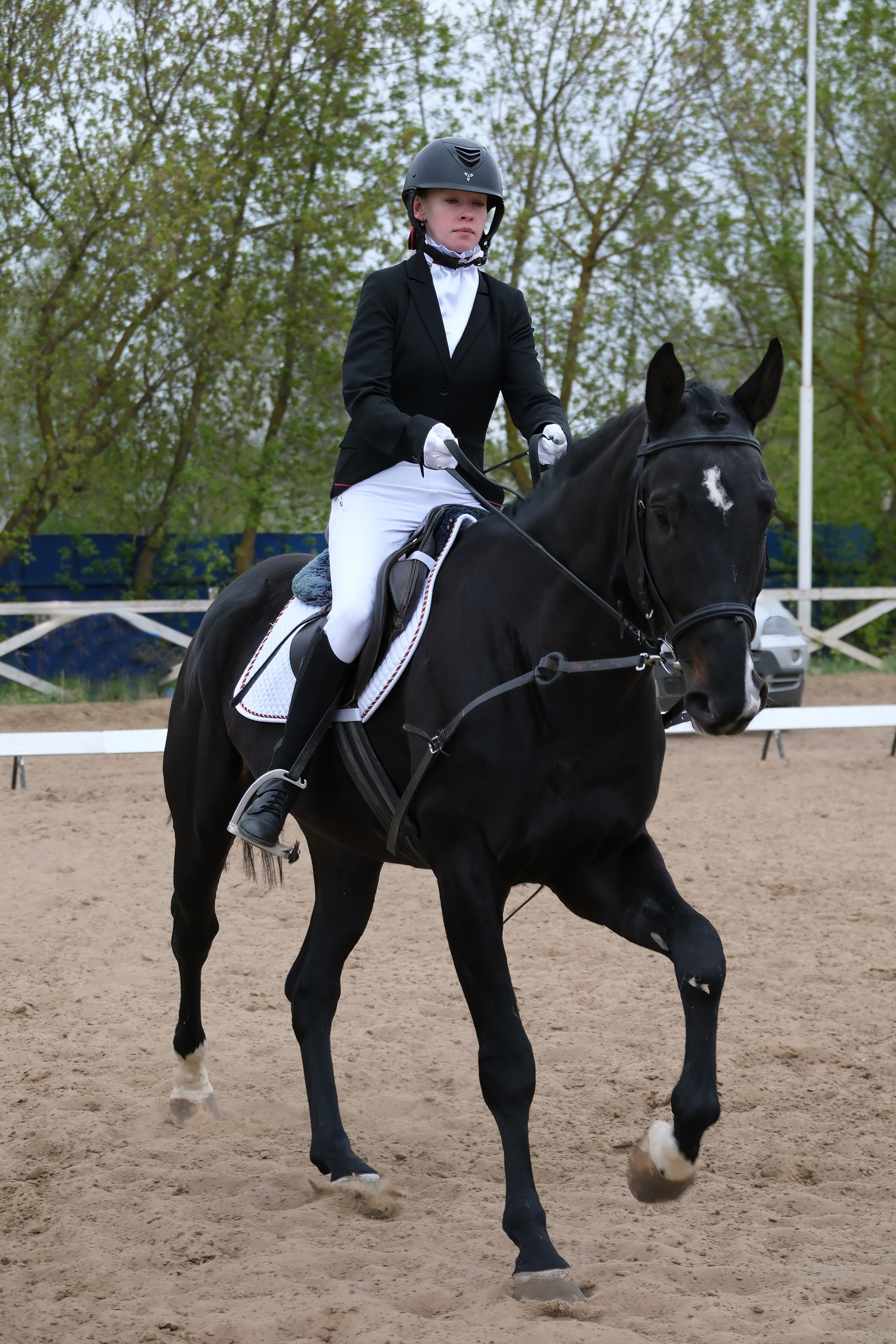 Соревнования по конному спорту в КСК «АЛЛЮР»!. Добро пожаловать в студию «Цифровой скульптор»  где искусство встречается с технологиями!