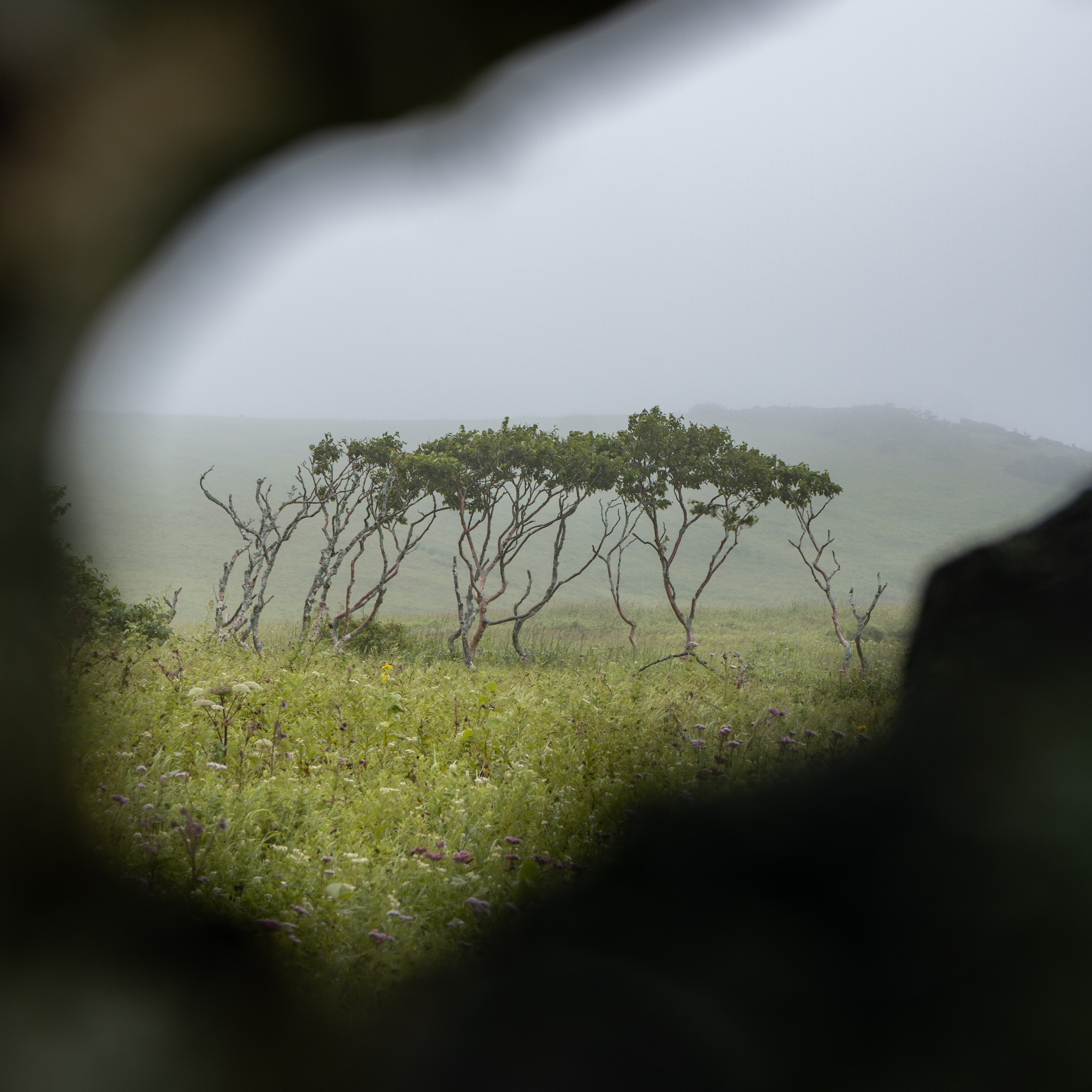 Курильские острова. Gusarov Travel Photography