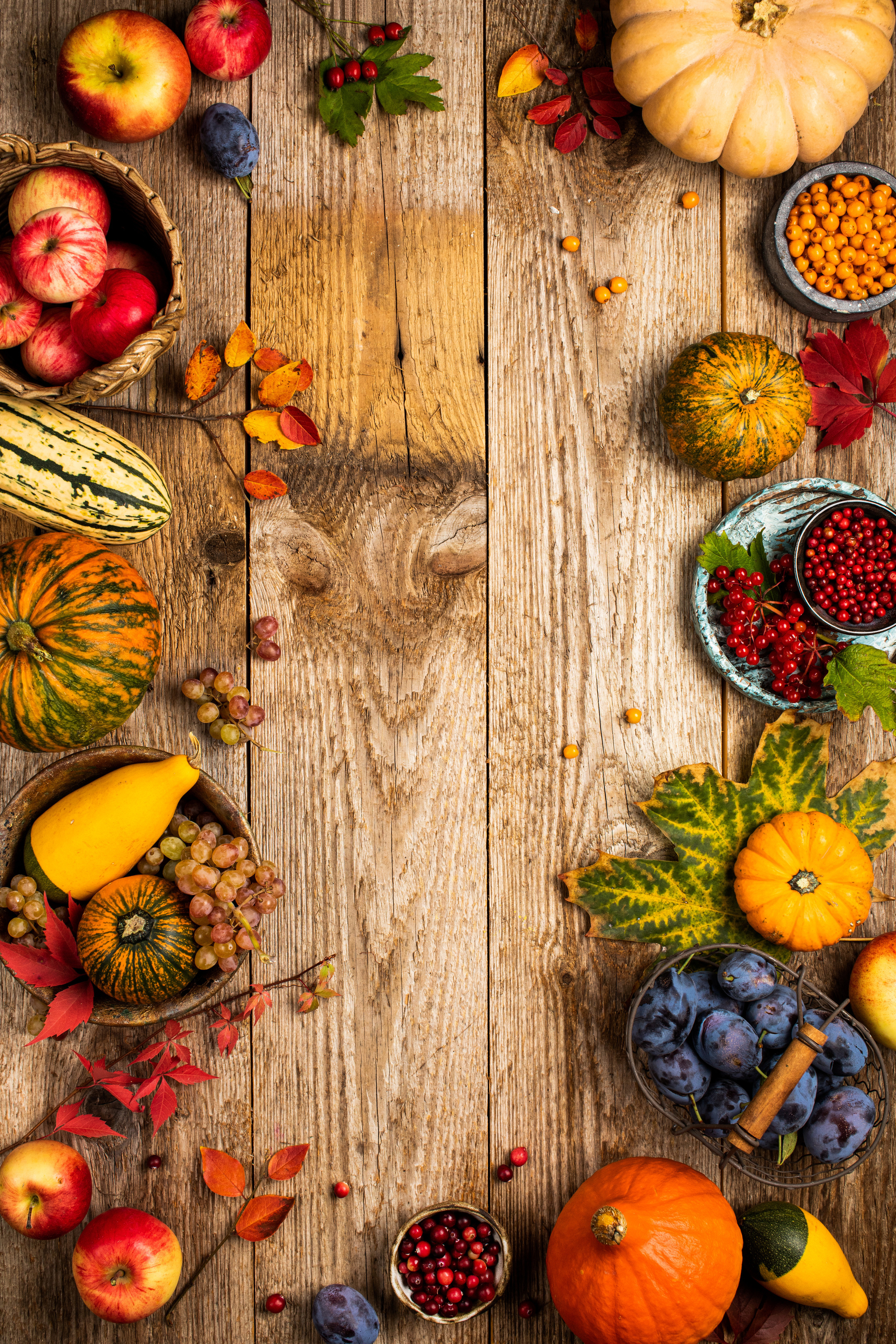 Нутрициолог Жанна Тиханычева, книга рецептов. Фудфотограф, фудстилист и сет дизайнер в Москве Алена Синицына