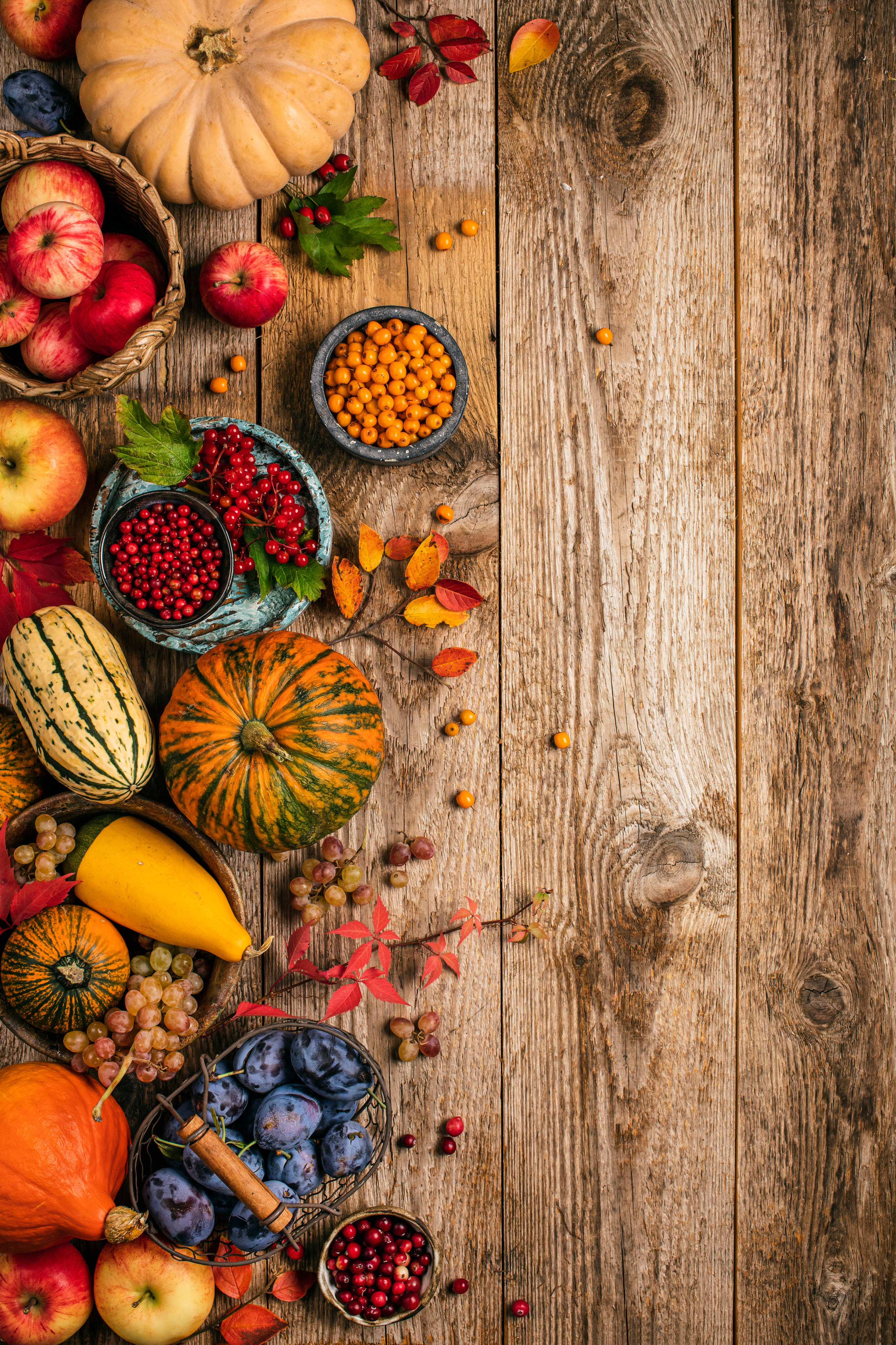 Нутрициолог Жанна Тиханычева, книга рецептов. Фудфотограф, фудстилист и сет дизайнер в Москве Алена Синицына