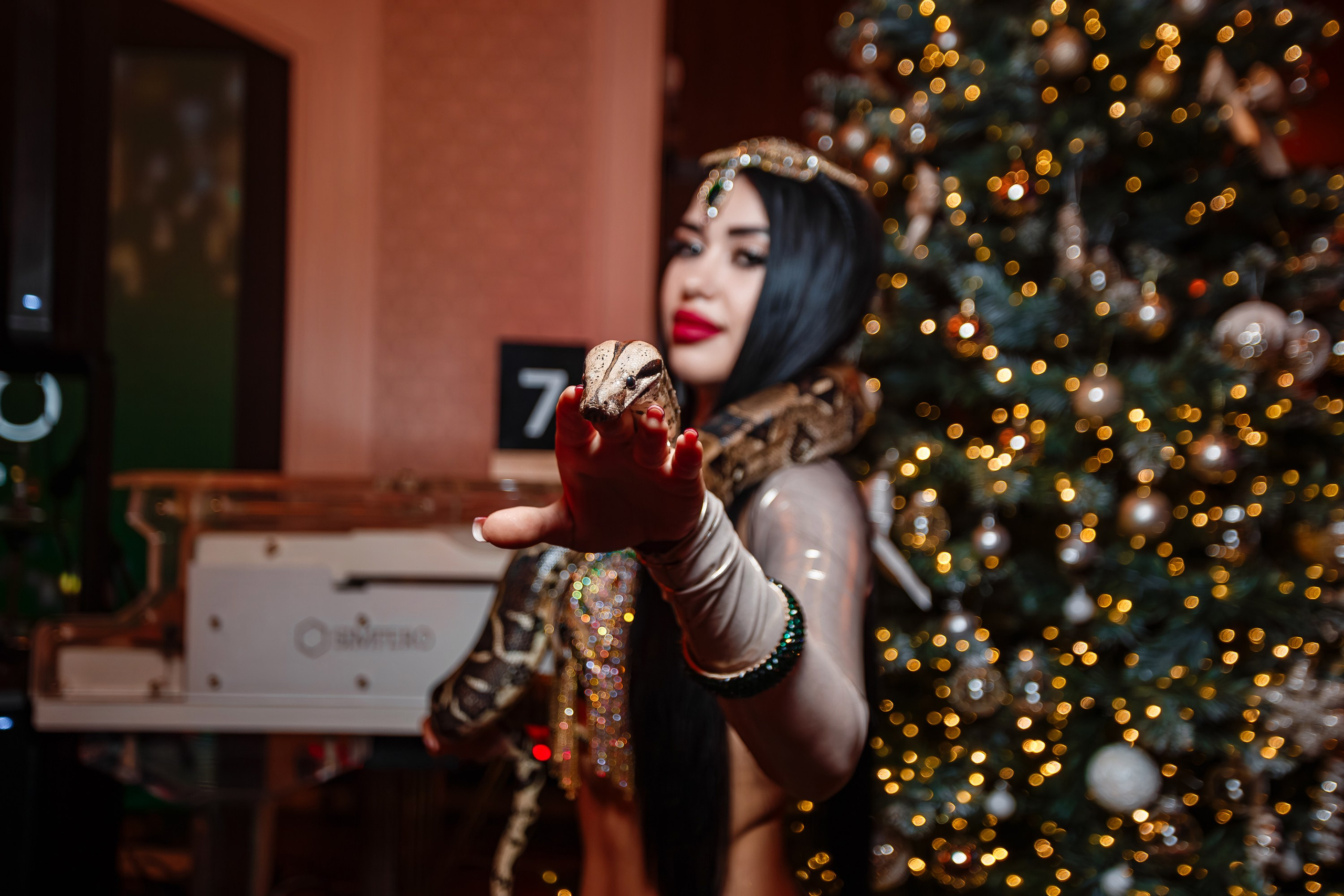 Новогодние корпоративы_Simfero_Симферополь_19.12.2024. Аминов Руслан | Фотограф